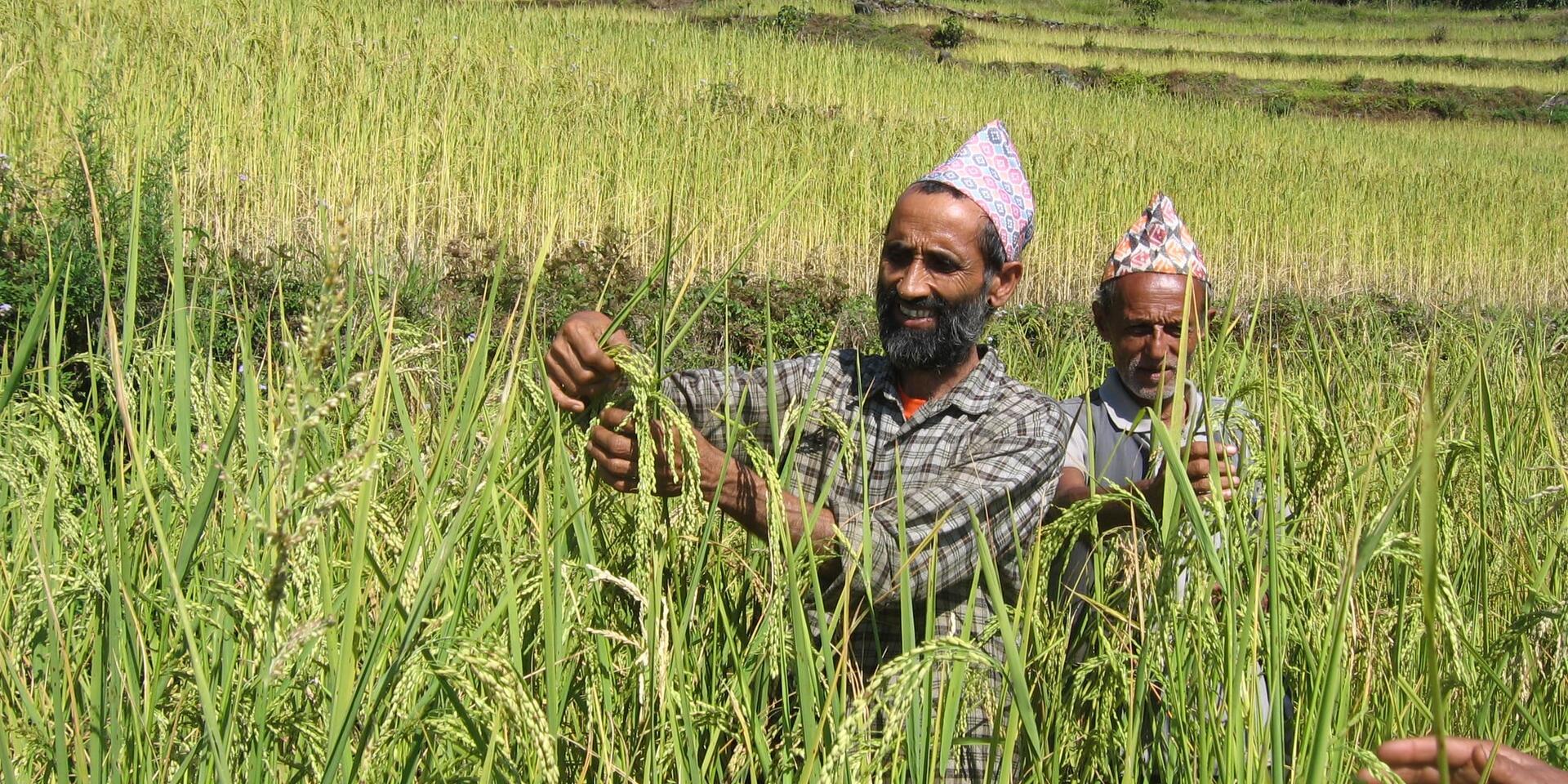 Nepal - The Alliance of Bioversity International and CIAT