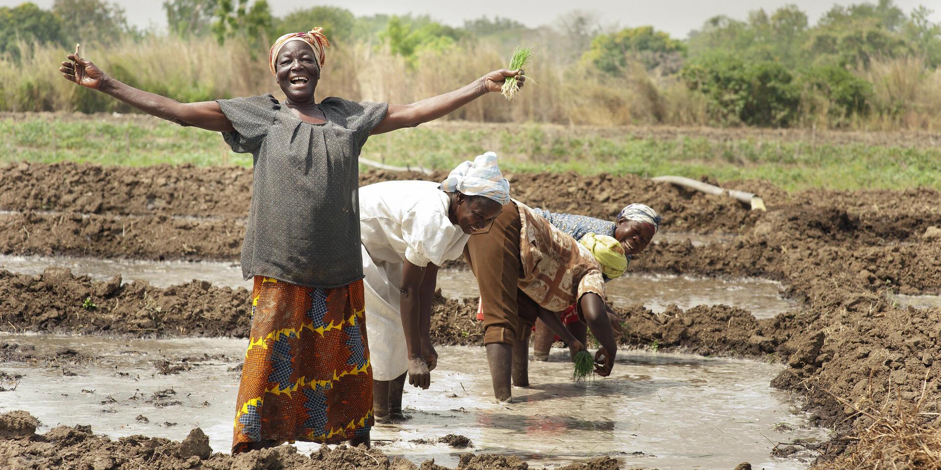New learning resources place equity at the heart of water-energy-food-ecosystem nexus management - Alliance Bioversity International - CIAT