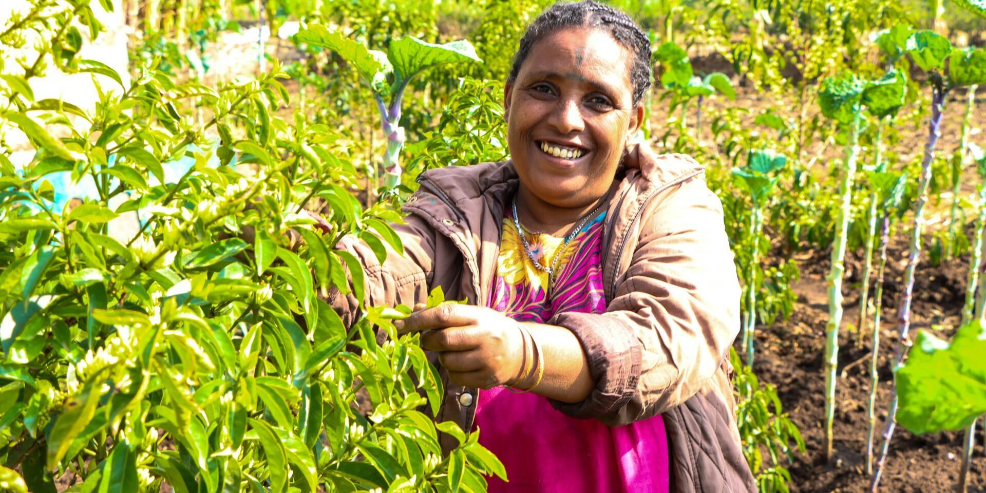 New THRIVE project launches to advance plant diversification and inclusive value chains across East Africa