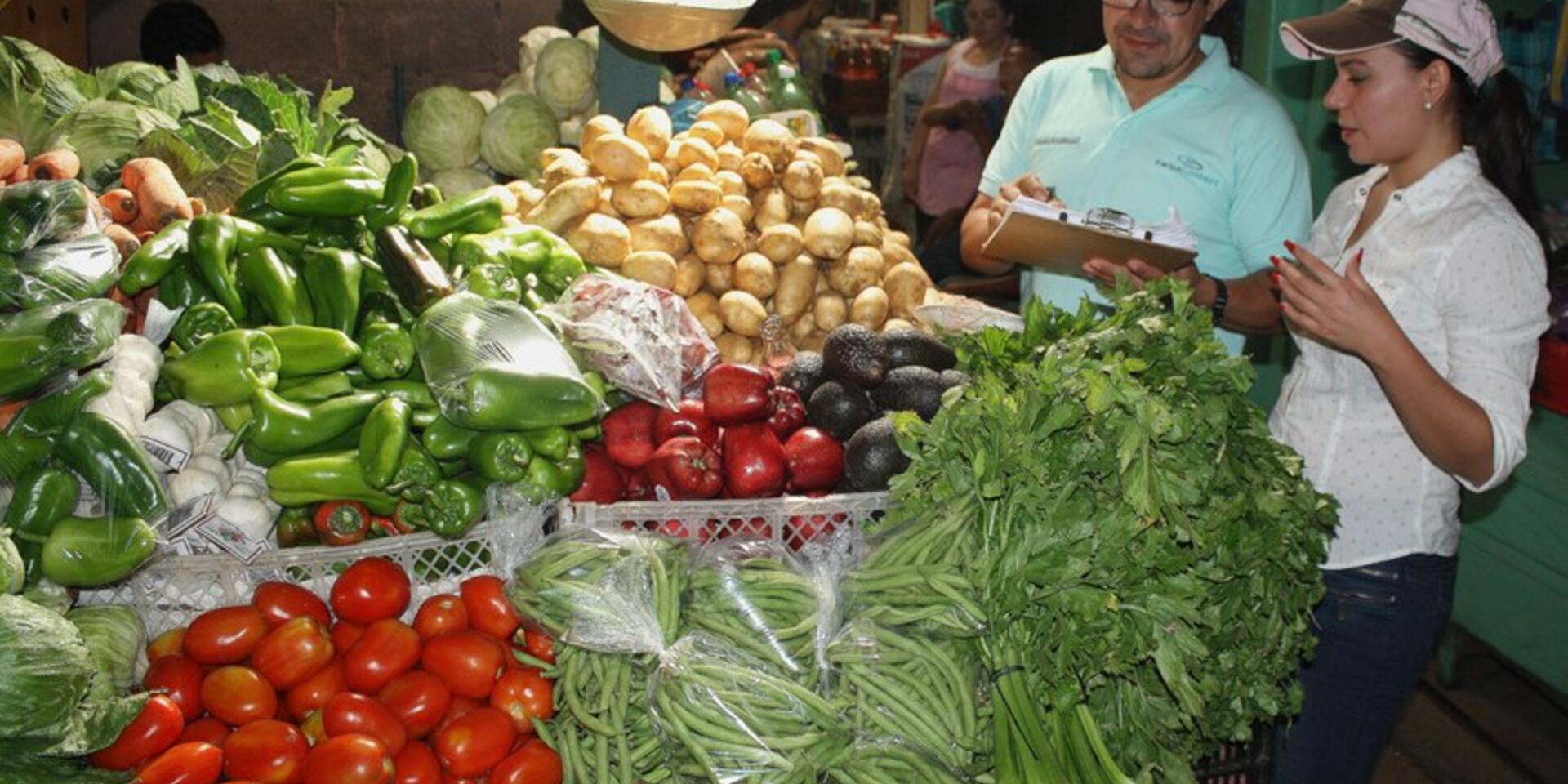 Mercados Informales para la Reducci&oacute;n de la Pobreza y Seguridad Alimentaria: Explorando Opciones de Pol&iacute;ticas en Nicaragua y Honduras