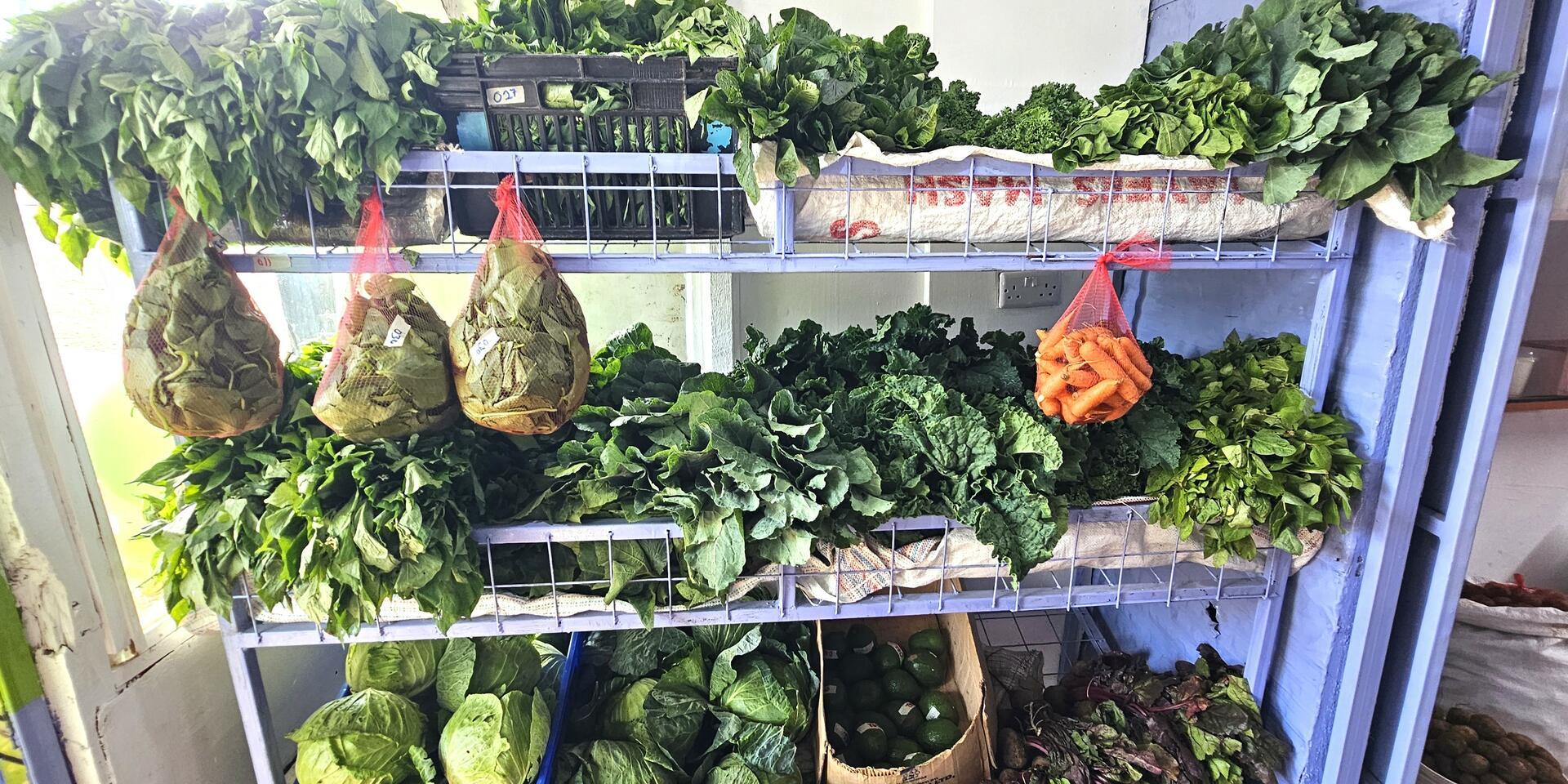 Organic farmers market opens new opportunities for smallholder farmers in Kiambu - Alliance Bioversity International - CIAT