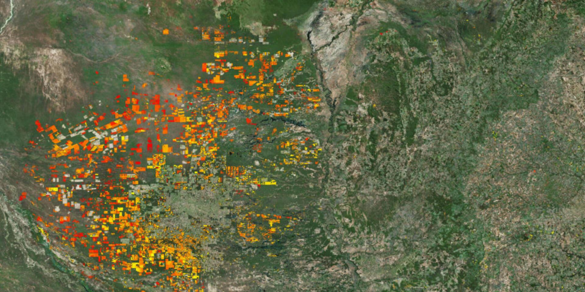 New study shows the value of natural habitat analysis on transportation infrastructure design and planning