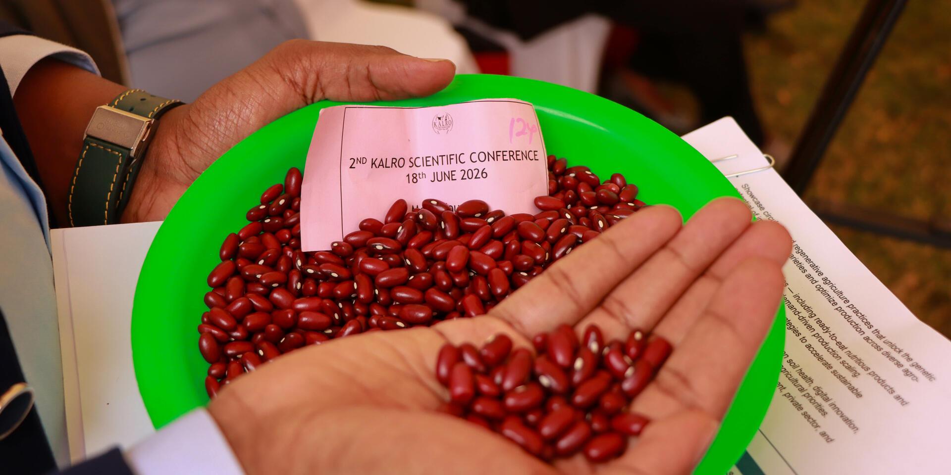 Partnerships hold the key to Africa&rsquo;s food systems transformation - Alliance of Bioversity International and CIAT