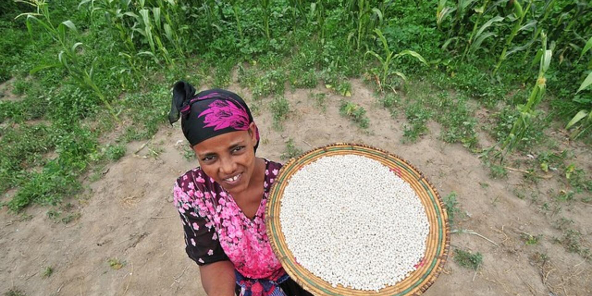 Paving Africa&rsquo;s way towards a sustainable, profitable food future with women at the lead