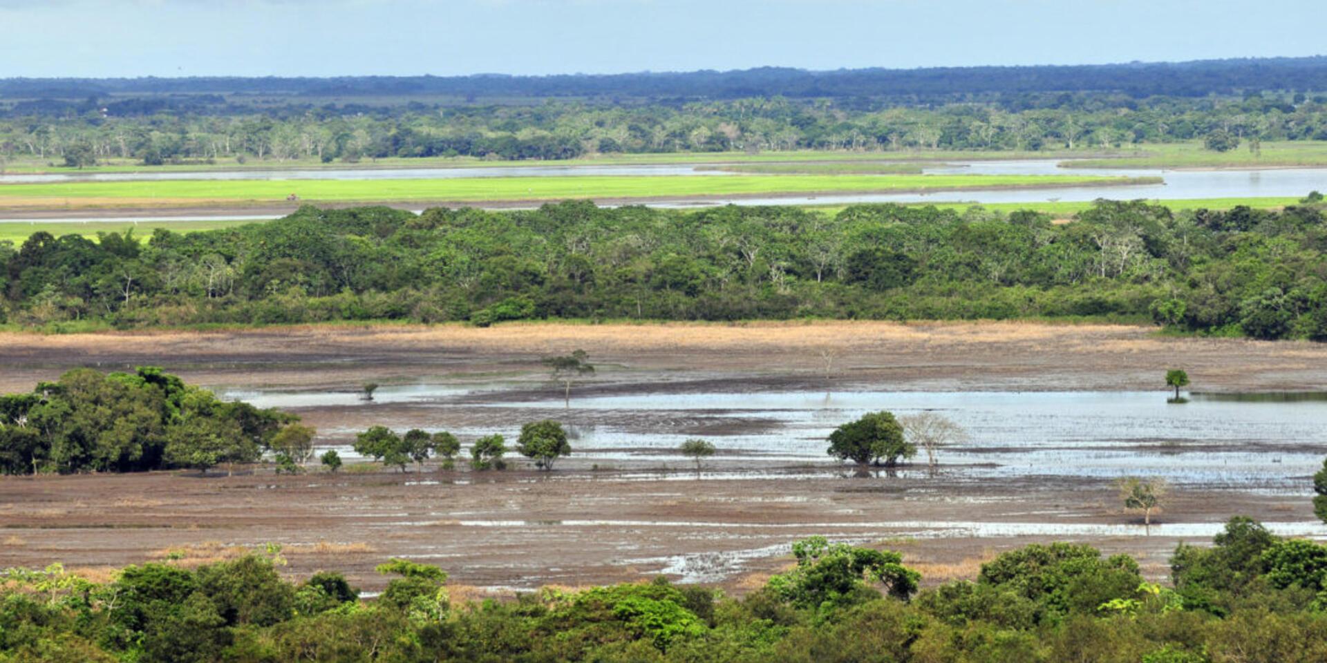 Proyecciones de clima para la Orinoqu&iacute;a a 2040
