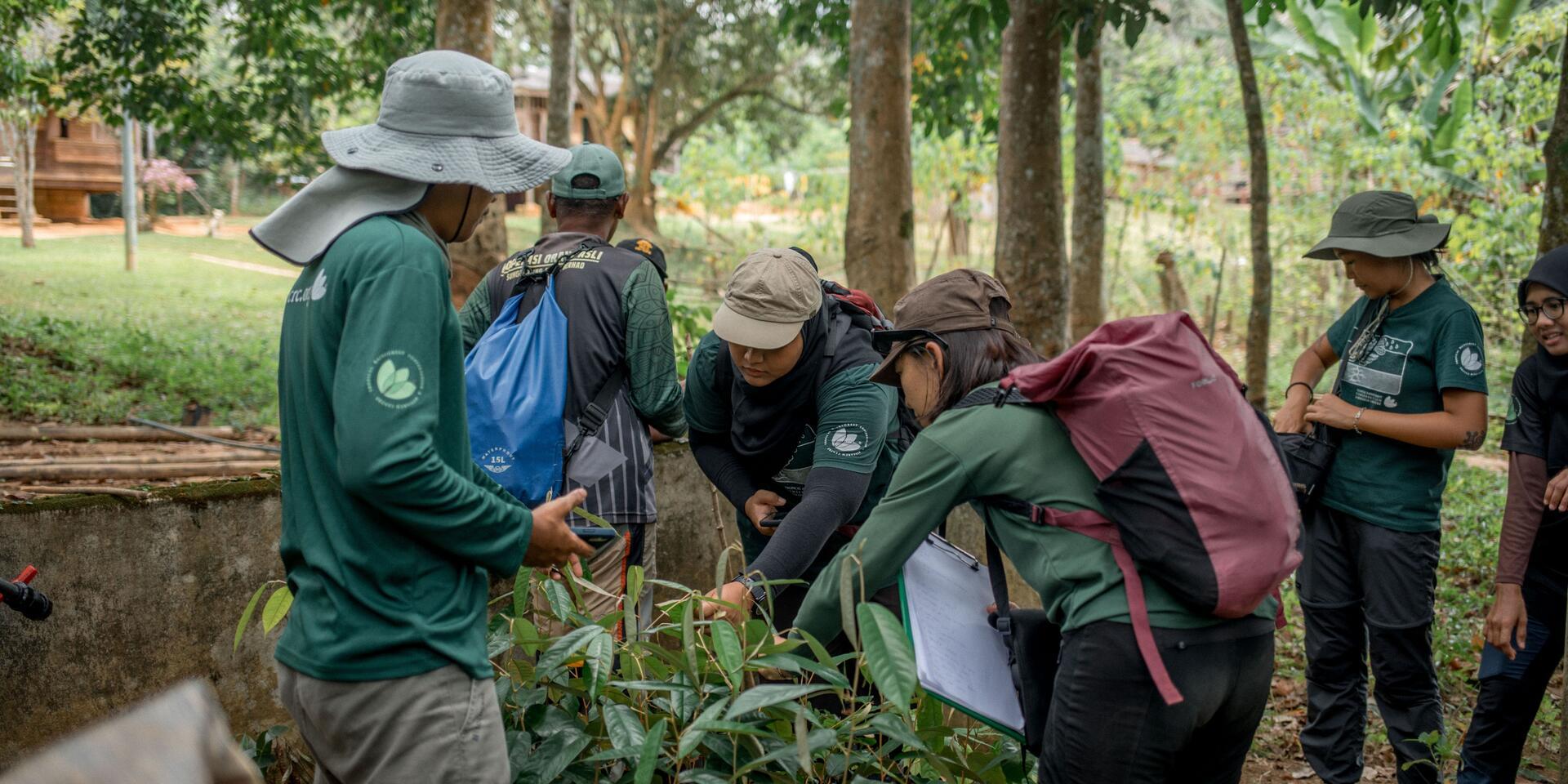 Planting the right seed in the right soil in Asia's forests