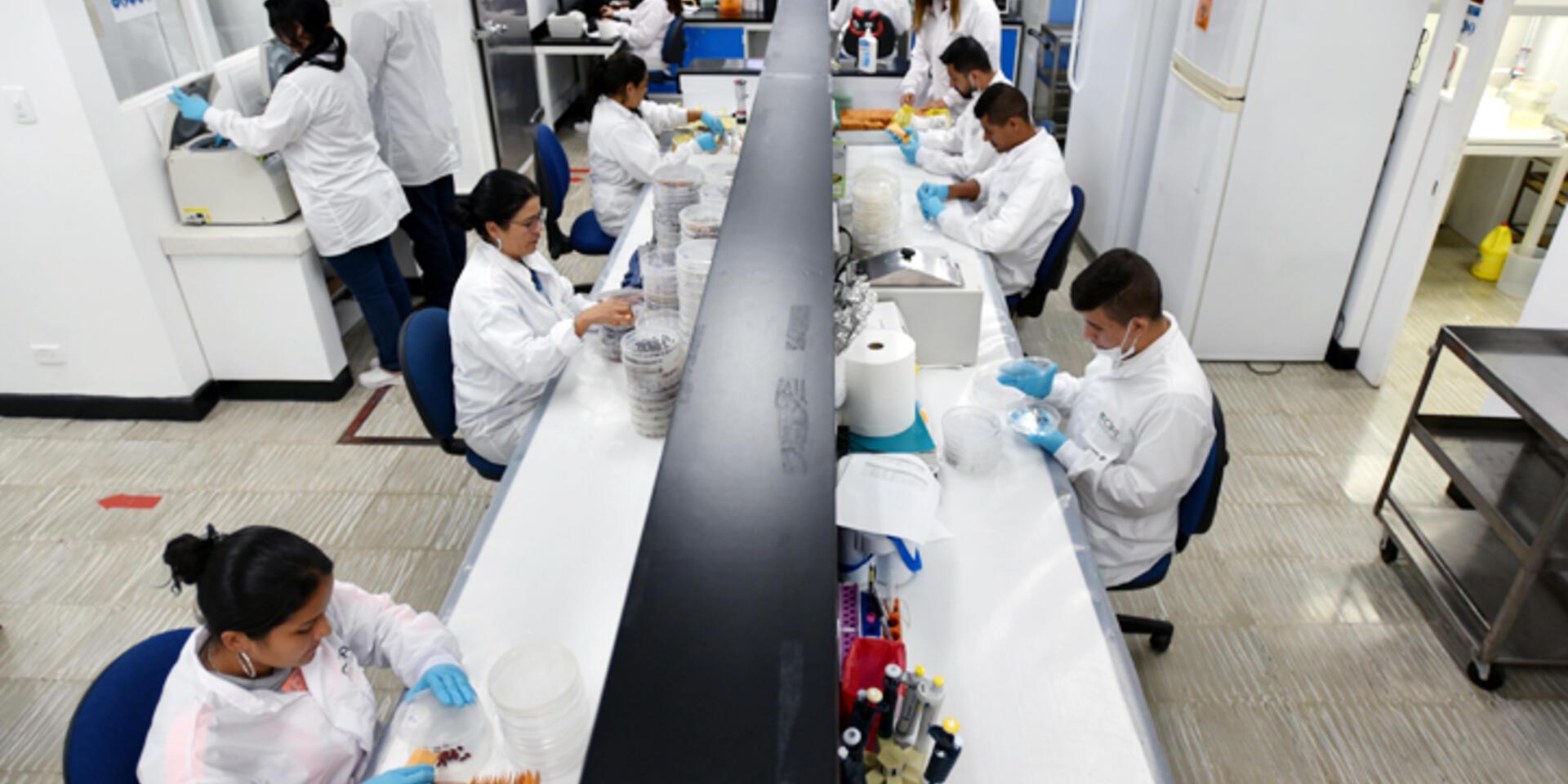 El Laboratorio de Sanidad de Germoplasma del CIAT recibi&oacute; Registro Calificado