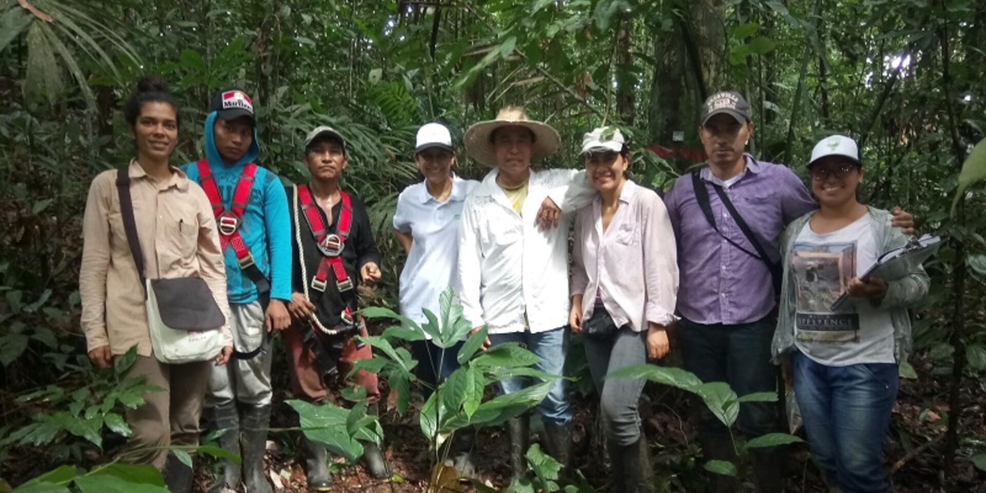 How much carbon is stored within the transformed landscapes of the Amazon?