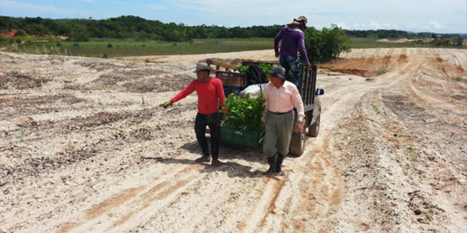Bioversity International researcher promotes forest restoration in Nature