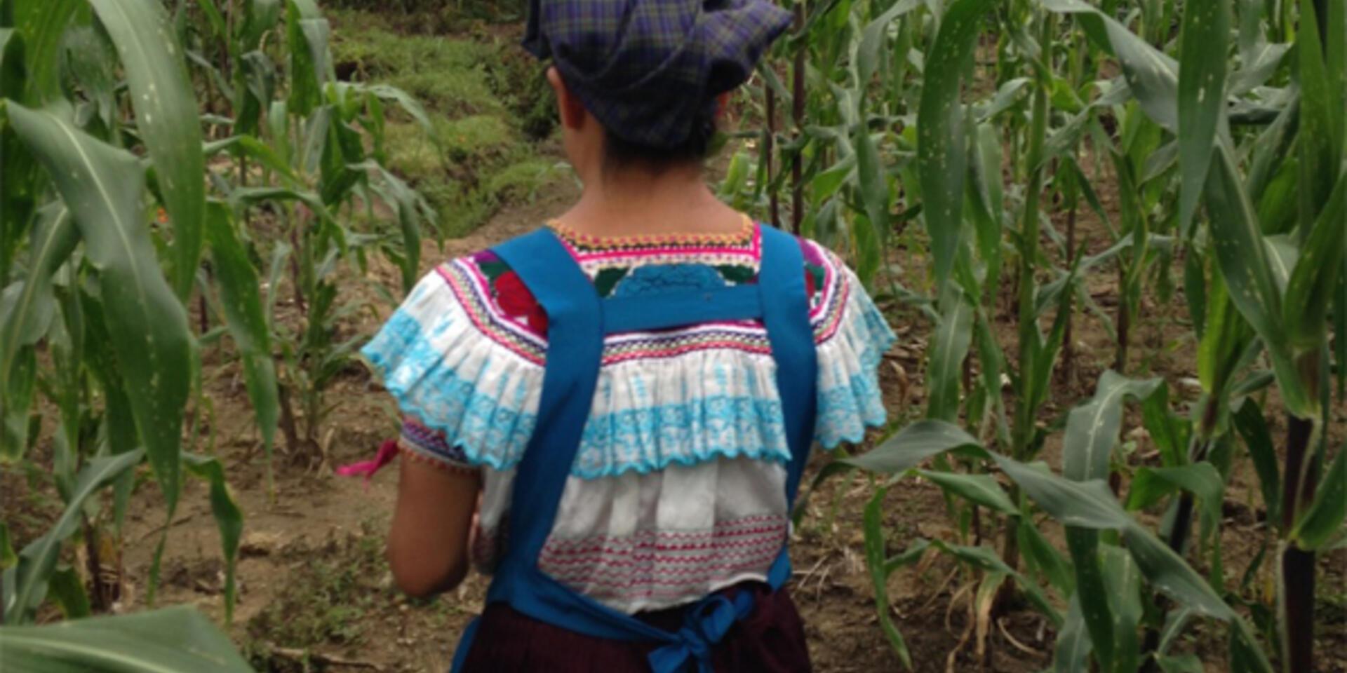 Student perspectives from the field: Talking about the weather in Chiapas, Mexico