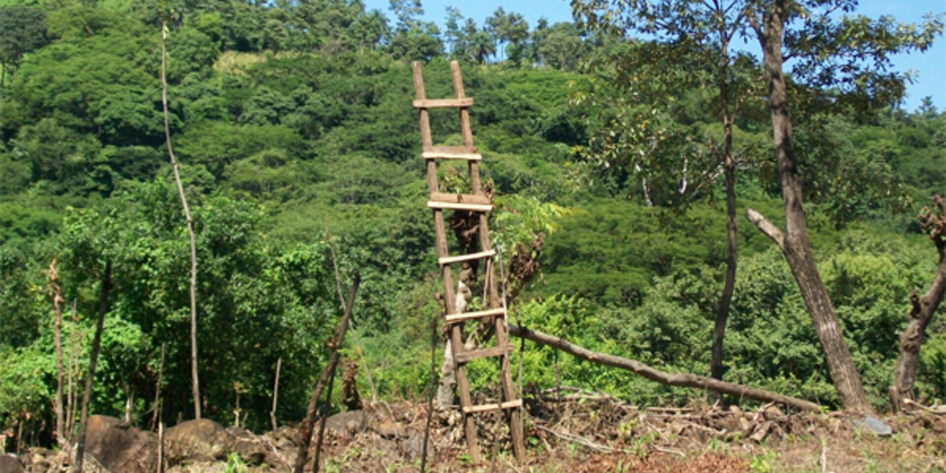The Quesungual Agroforestry System Takes Root in Nicaragua