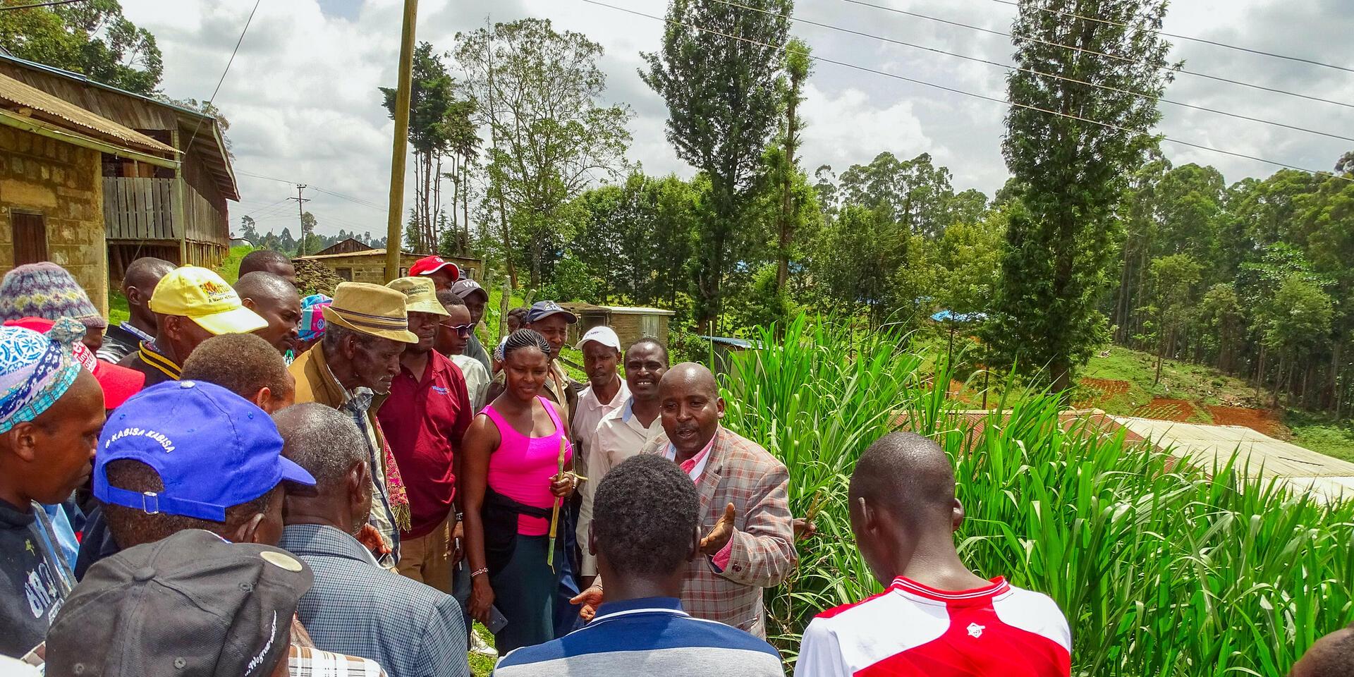 Project Impact Reports from our 'Performance, Innovation and Strategic Analyses' Program - Alliance Bioversity International - CIAT