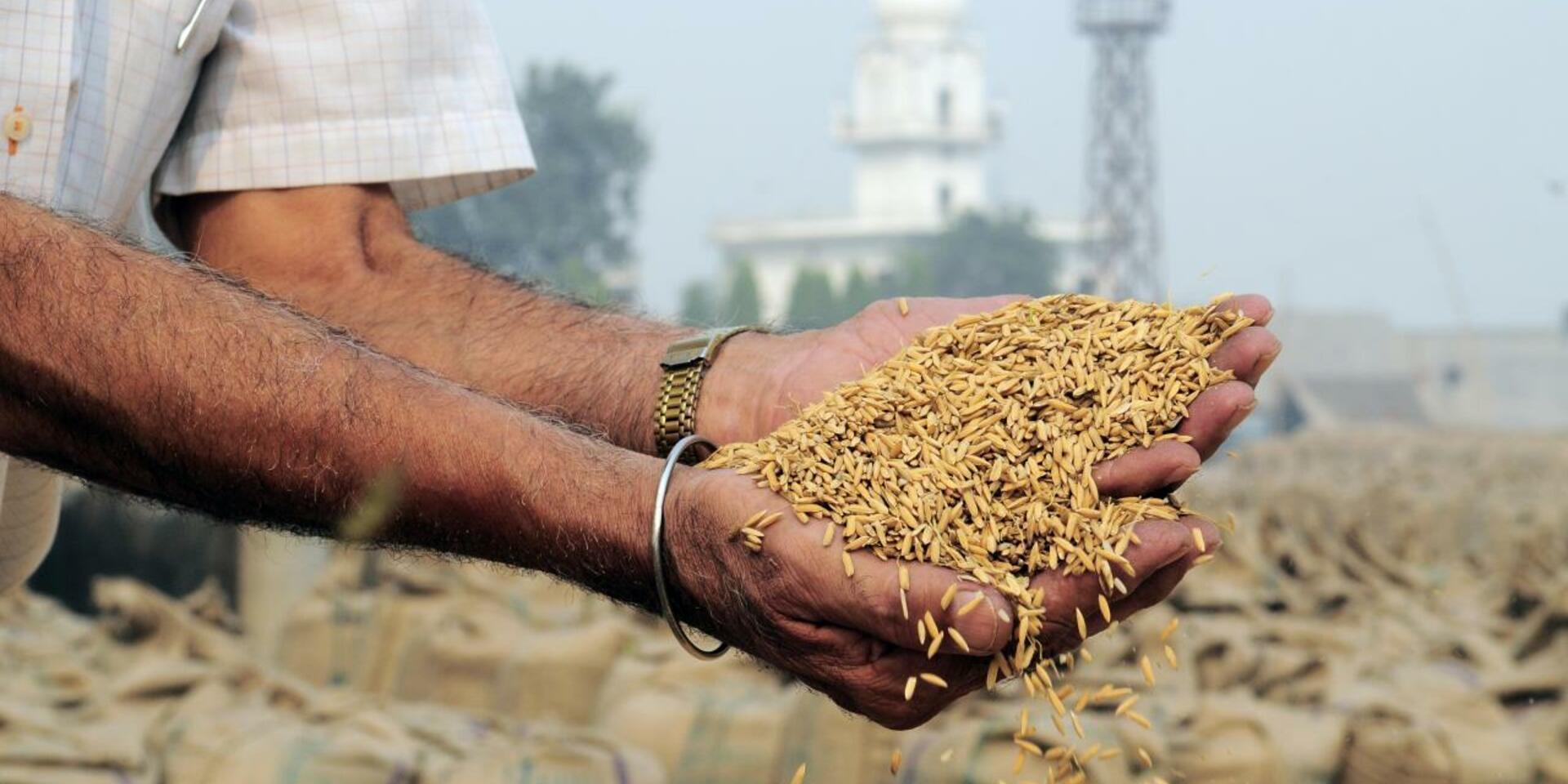 Projects and flagship initiatives in India - Alliance Bioversity International - CIAT