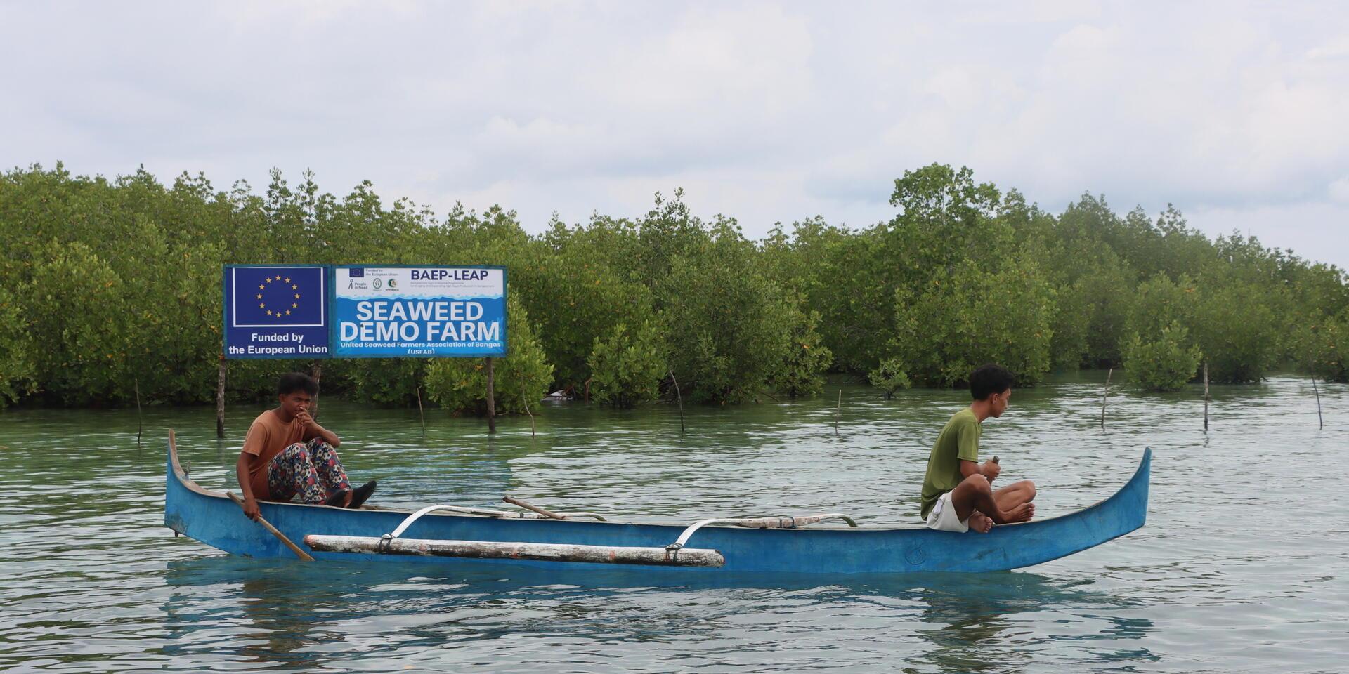 Projects and Flagship Initiatives in the Philippines - Alliance Bioversity International - CIAT