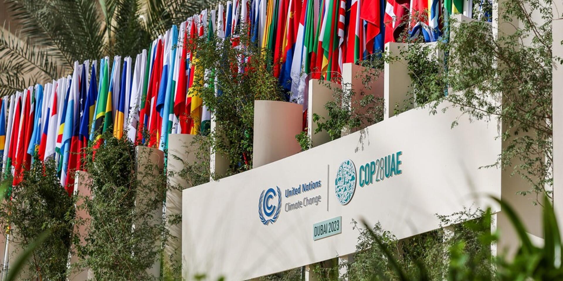 Reflections on COP28 - food systems transformation to the center of climate change action  - Alliance Bioversity International - CIAT