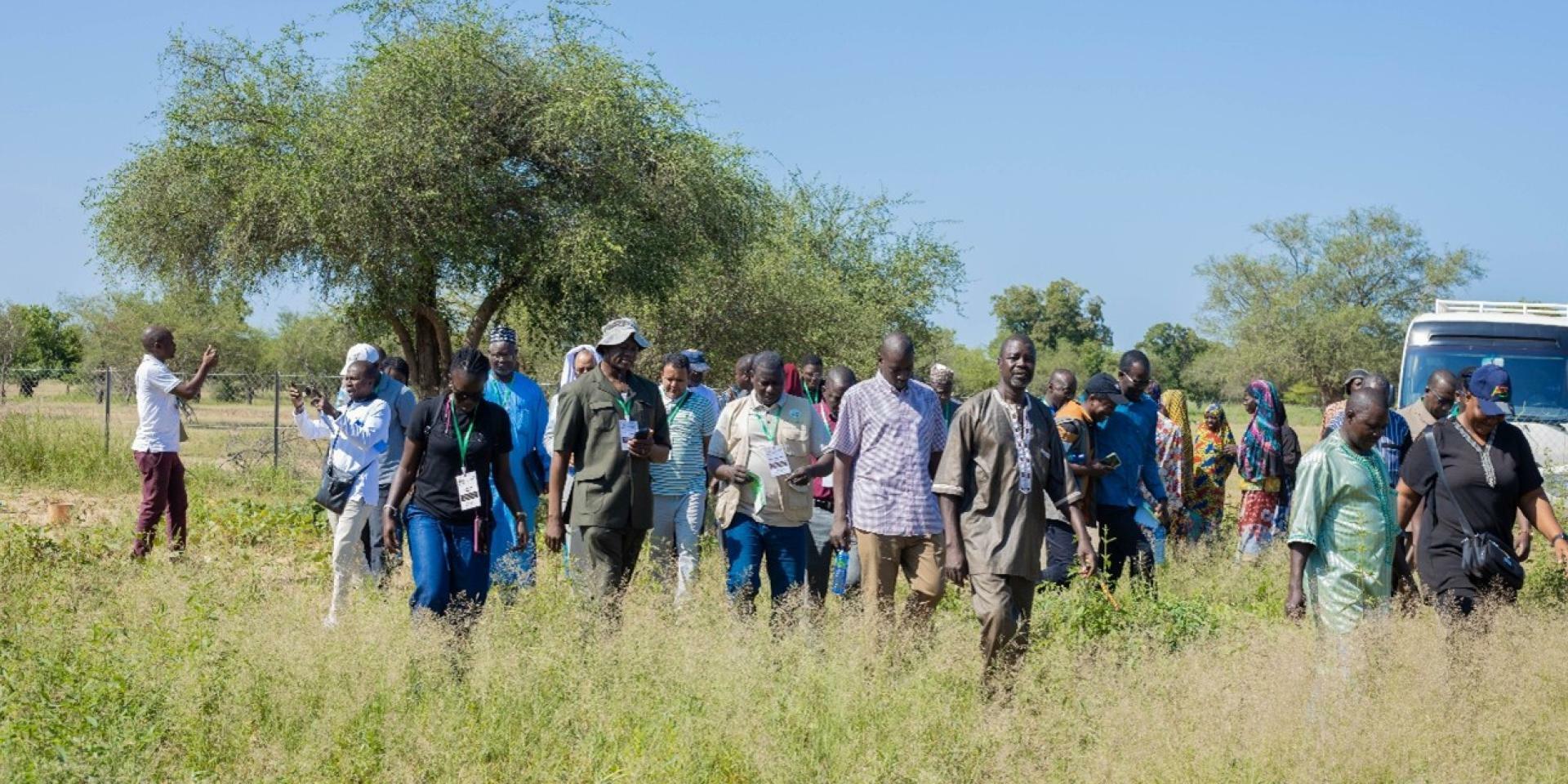 Rooted in community, growing through partnerships - Climate-smart villages in West Africa and the Sahel