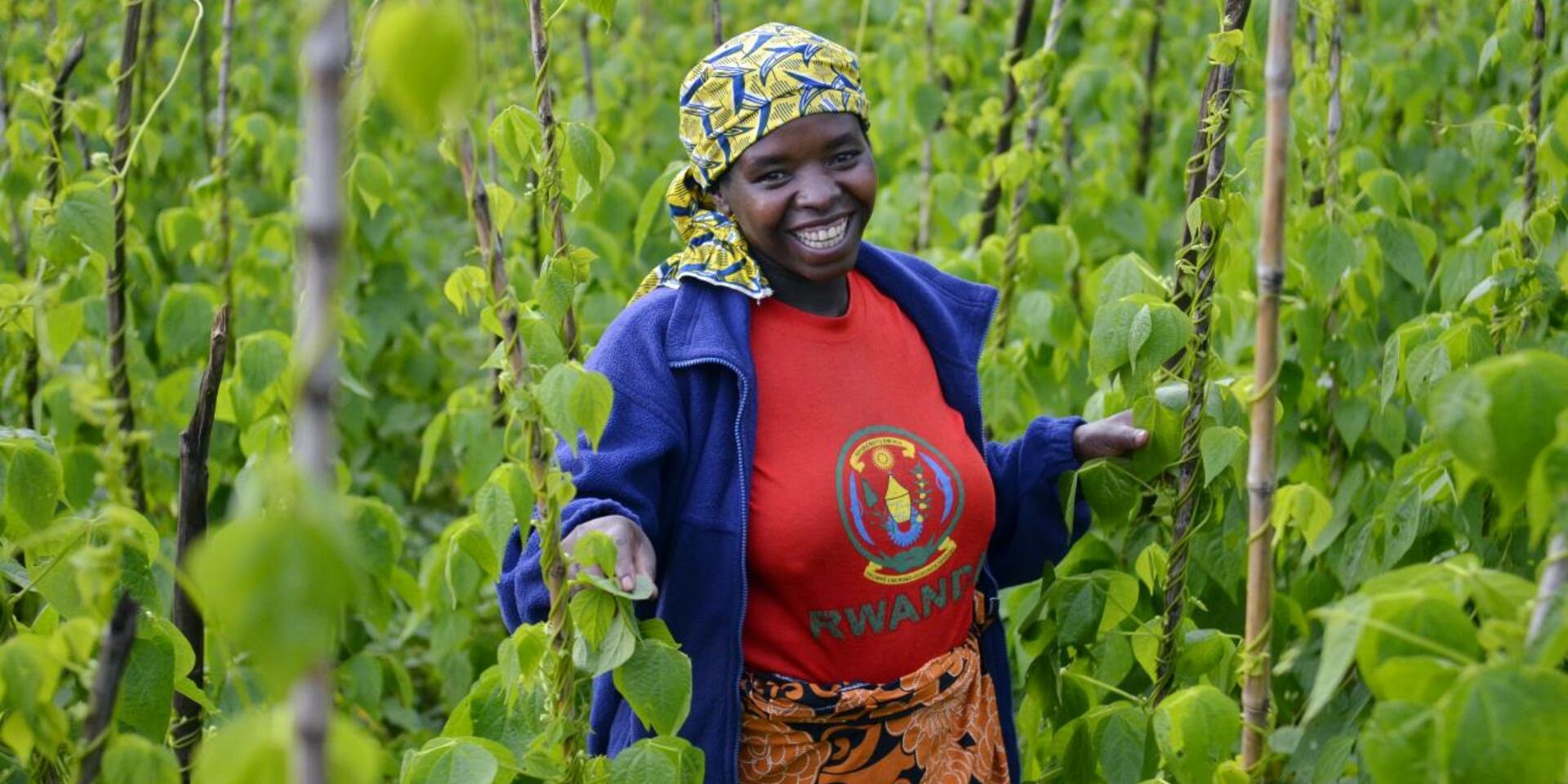 Rwanda - Alliance Bioversity International - CIAT