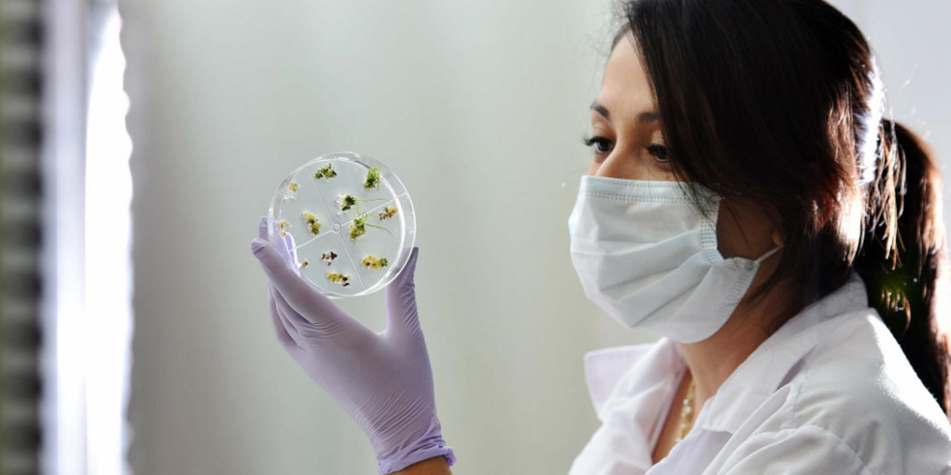 Genome Editing: As Easy, Useful, and Safe as it Sounds?