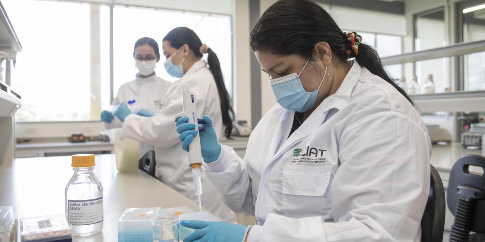 Scientists at the Future Seeds genebank in Colombia