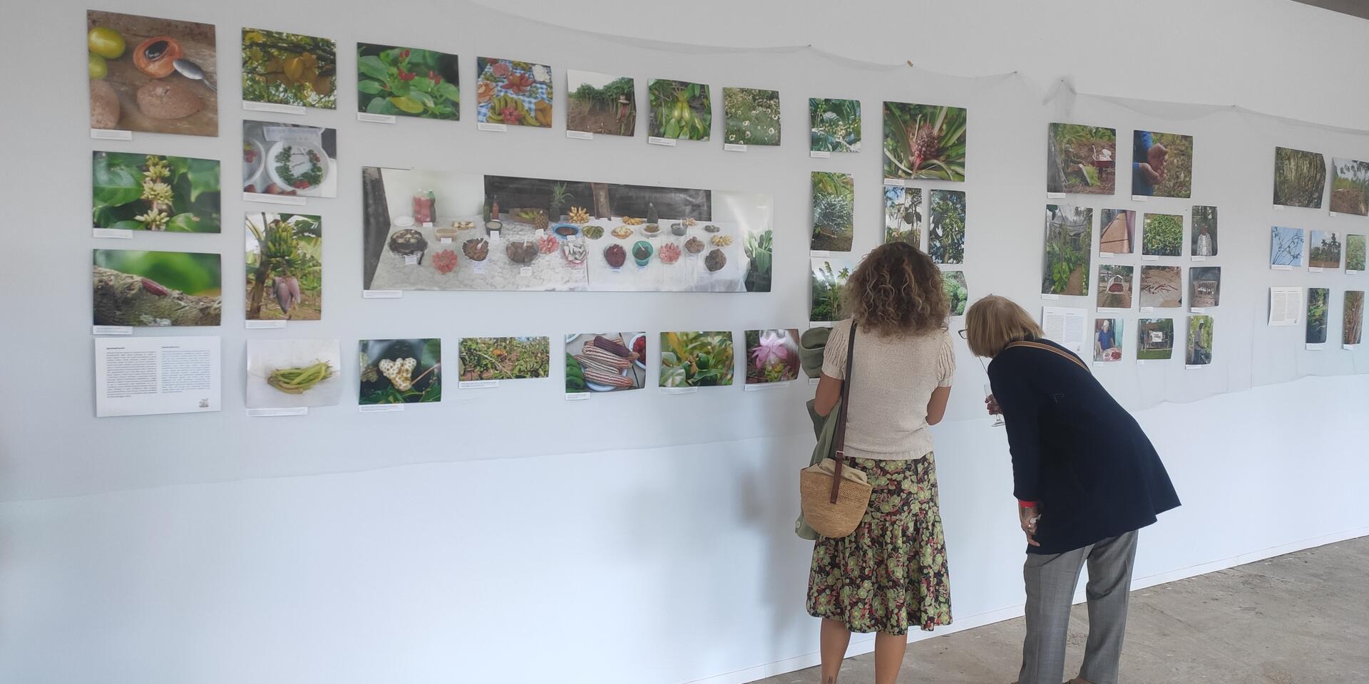Snapshots of Success: Conserving Cuba&rsquo;s Agrobiodiversity - Alliance Bioversity International - CIAT