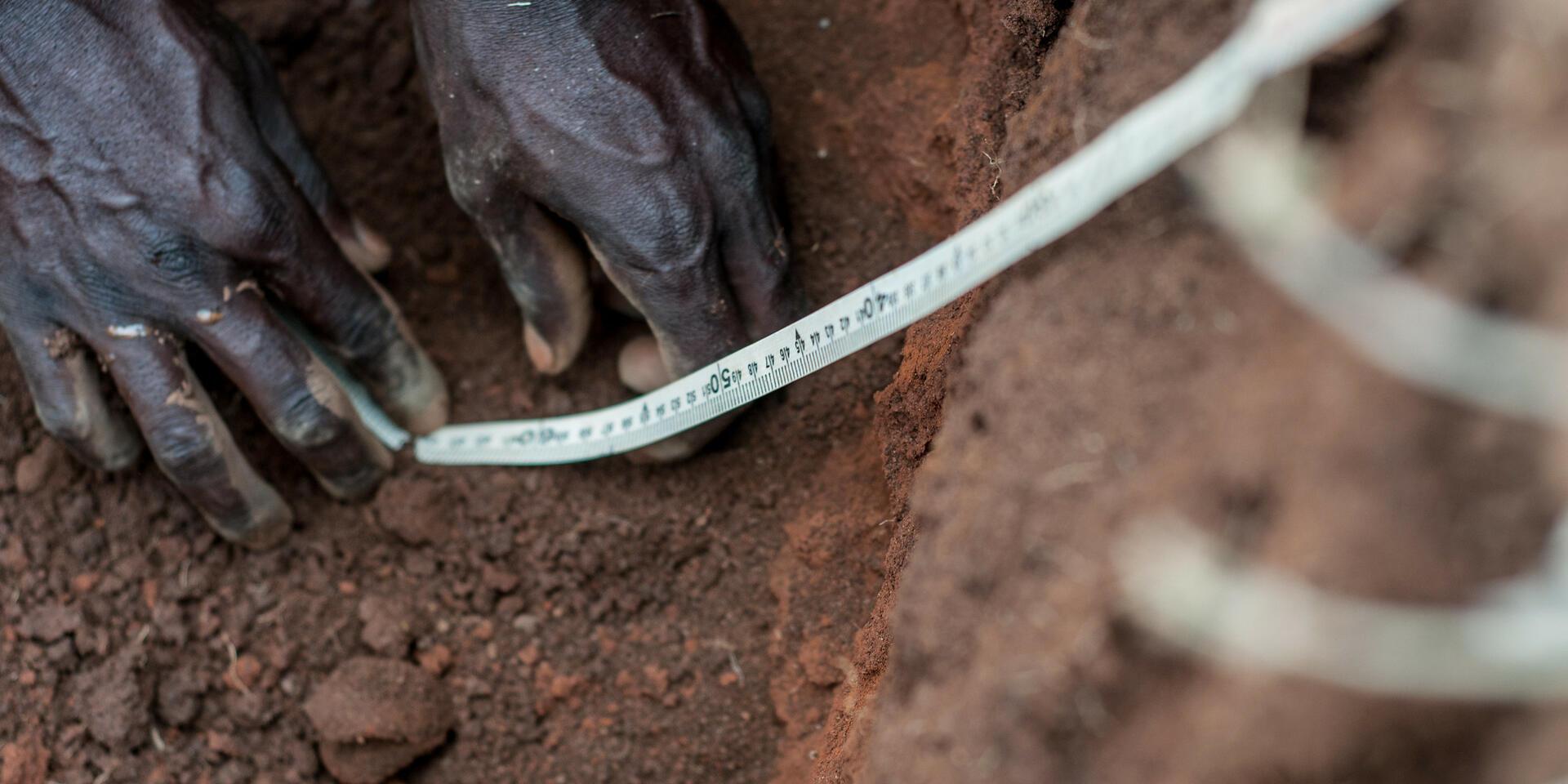 Soil Health - Alliance Bioversity International - CIAT