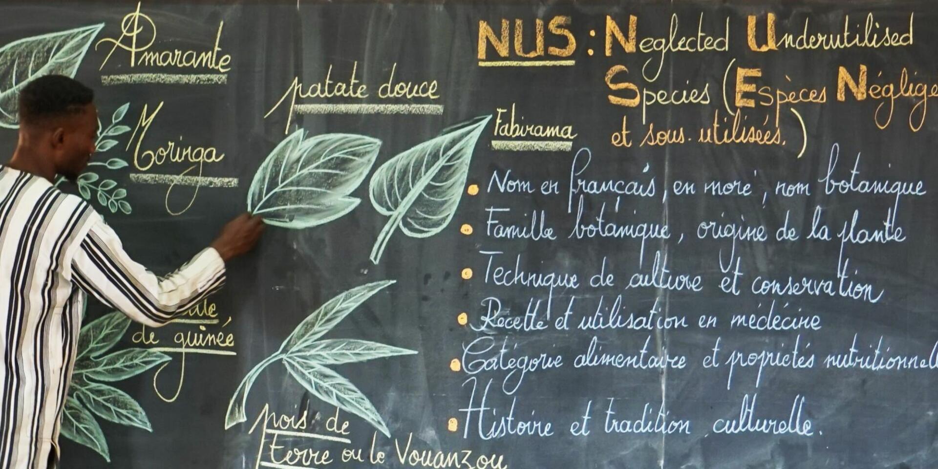 Sowing the seeds of tomorrow, one school garden at a time - Alliance Bioversity International - CIAT