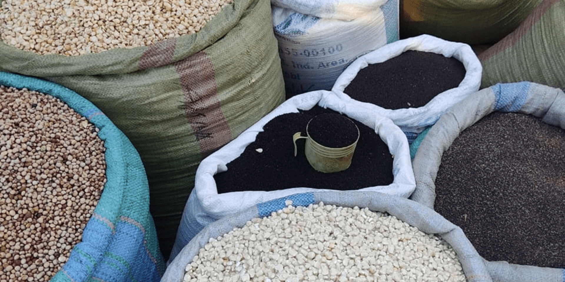Stimulating Demand for Safer Foods in Informal Grain Markets  - Alliance Bioversity International - CIAT