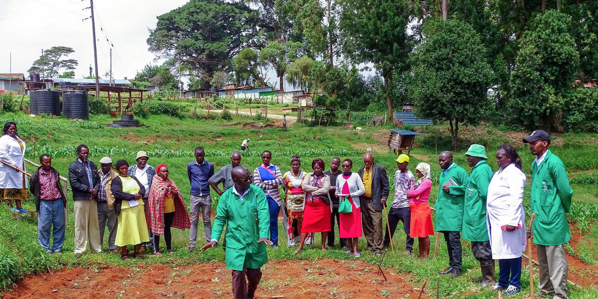 Strategic Analysis for Impact with a Gender Focus - Alliance Bioversity International - CIAT