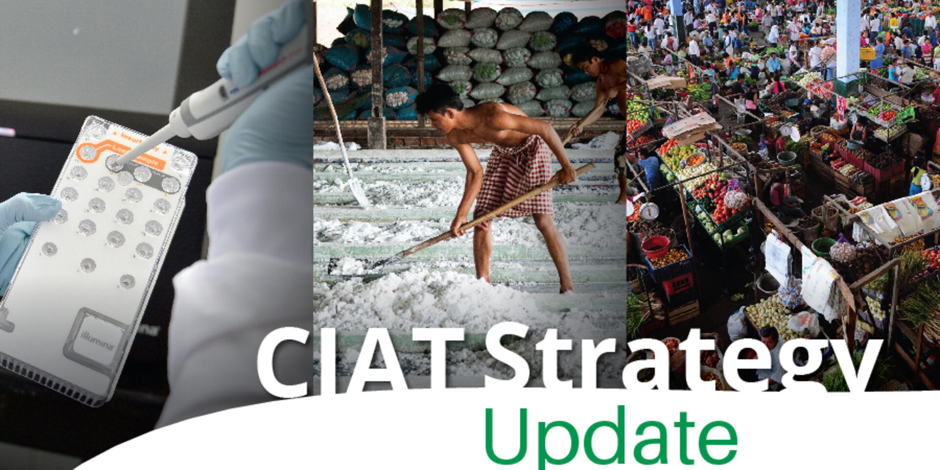 CIAT Strategy refreshed for 2018&ndash;2020