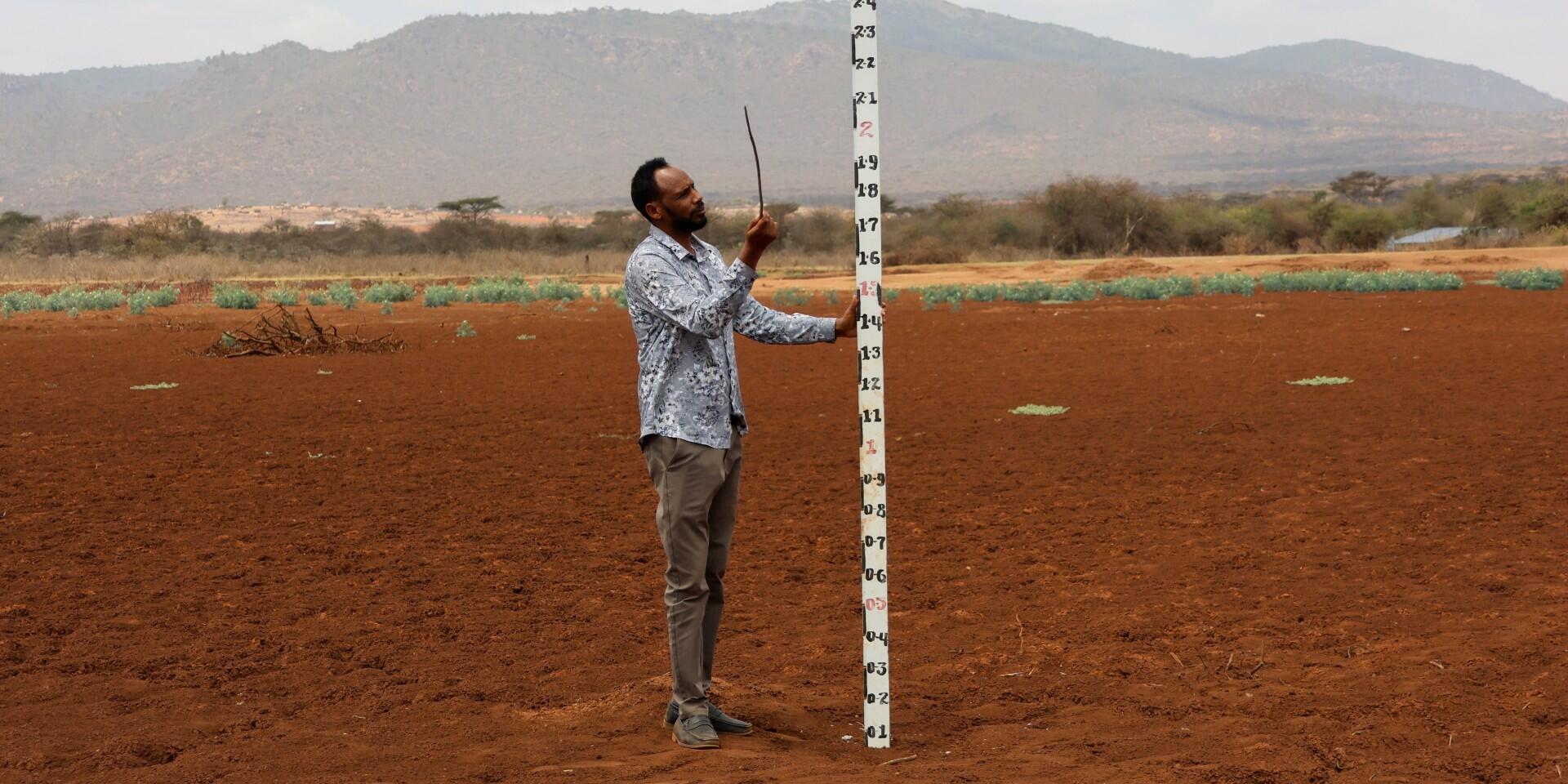 Surviving drought with better data - Ethiopian pastoralists use a digital monitoring system to avoid crisis - Alliance Bioversity International - CIAT