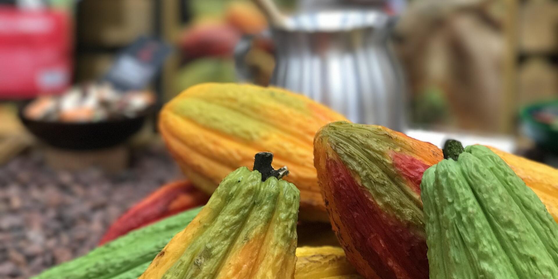 Sustainable Cocoa Innovation Challenge - Alliance Bioversity International - CIAT