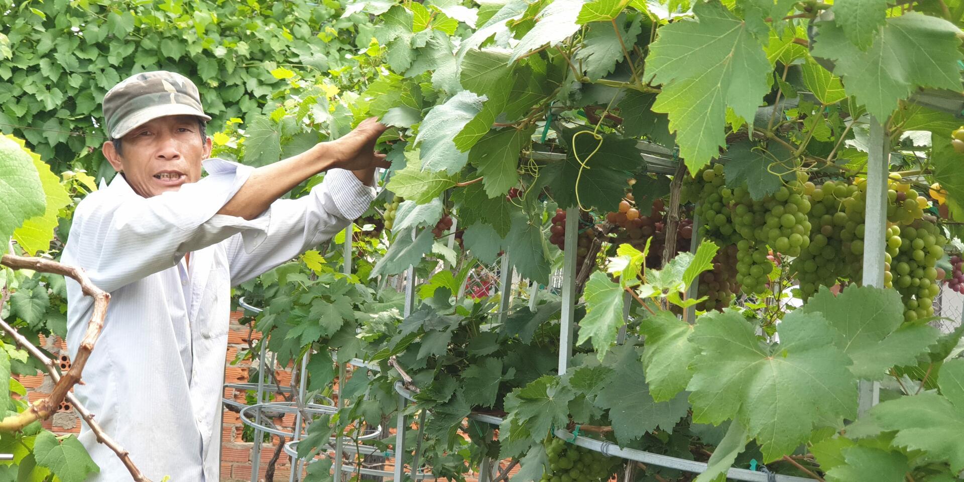 Synergy of scientific and local climate knowledge in agro climatic bulletins in vietnam- Alliance Bioversity International - CIAT