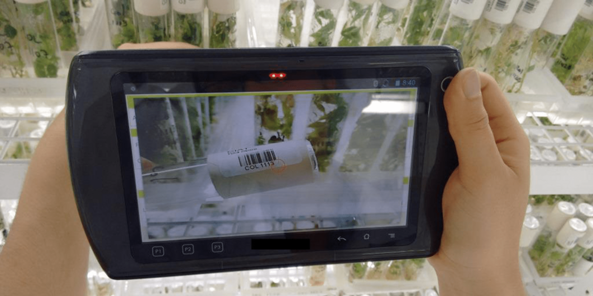 Corpoica and CIAT: committed to developing a better seed collection management system