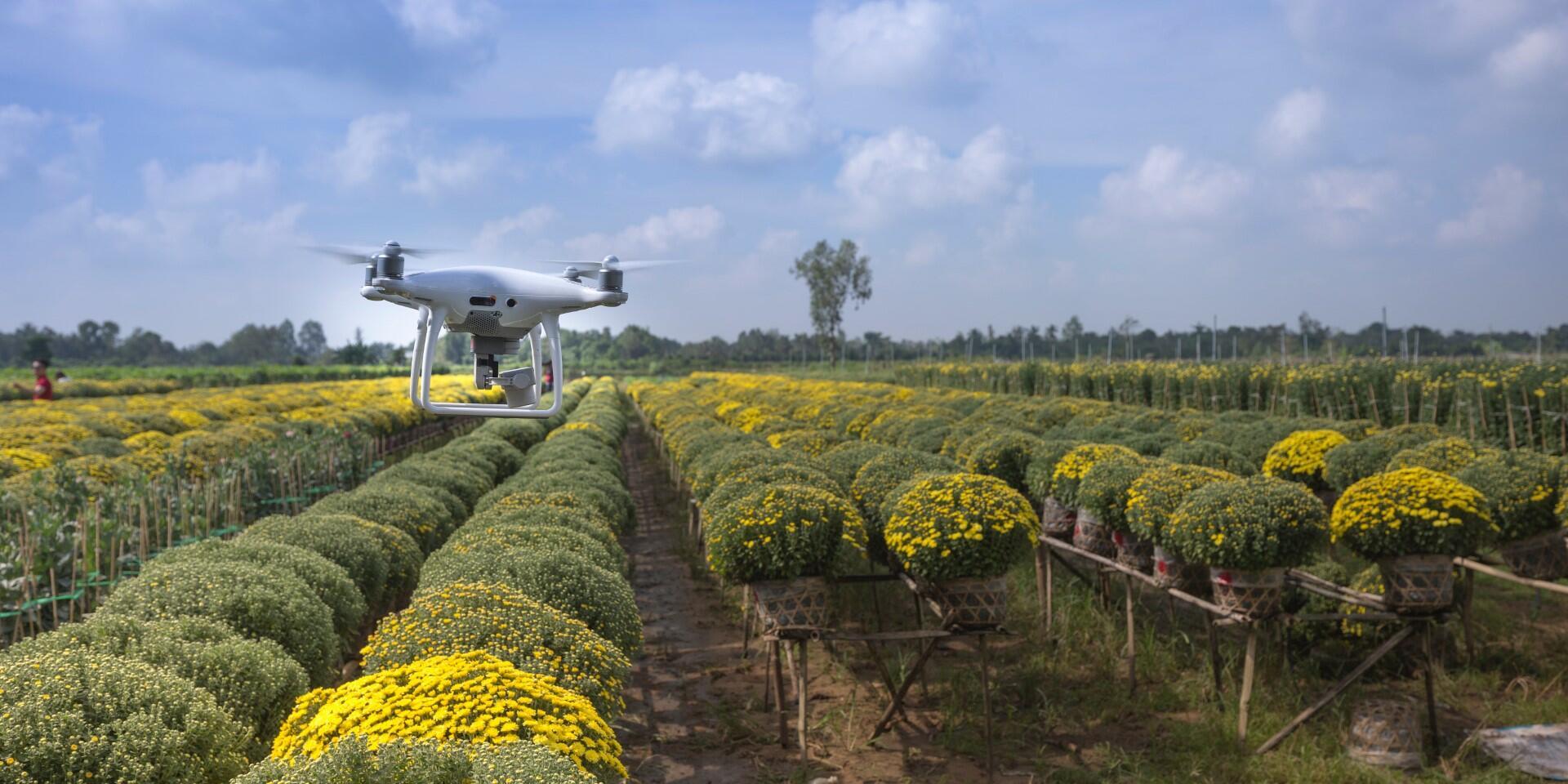 The Accelerate for Impact Platform and the Climate Resilient Africa Fund Announce Partnership to Foster a Supportive Ecosystem for Agri-food and Climate- tech Innovations in Africa - Alliance Bioversity International - CIAT