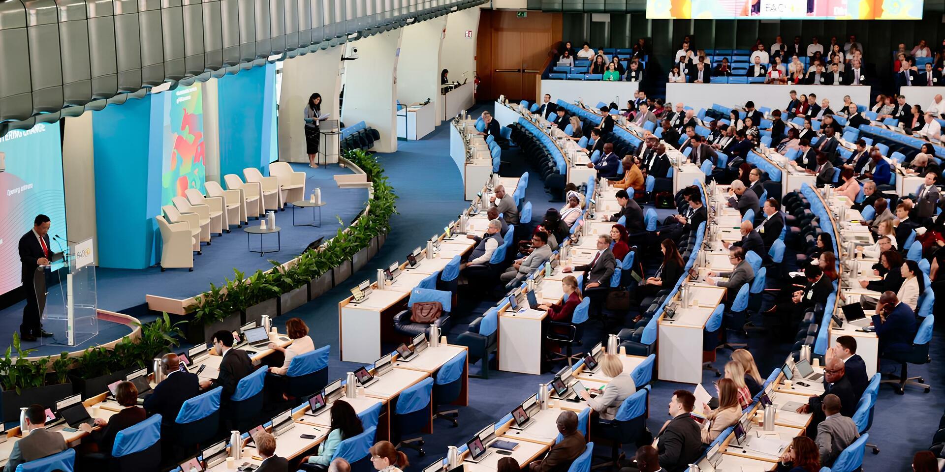 The Alliance at the 54th Plenary Session of the Committee on World Food Security - CFS