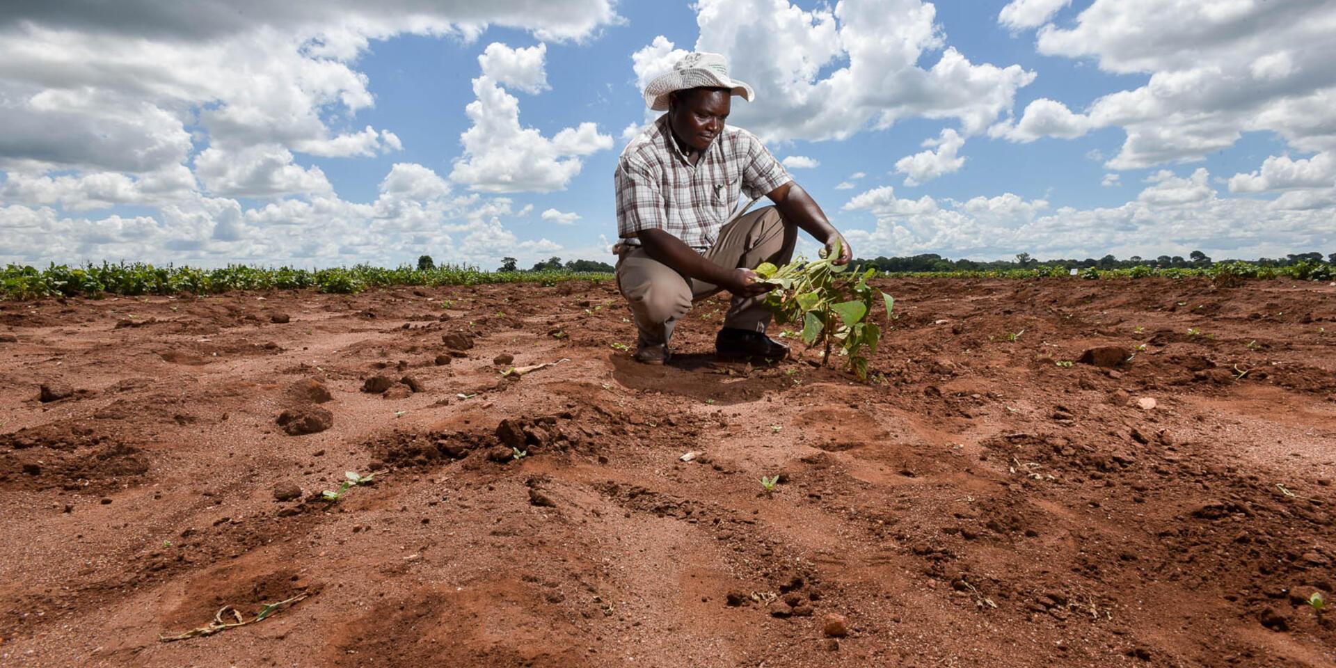 The Alliance at the Africa Fertilizer and Soil Health Summit 2024 - Alliance Bioversity International - CIAT