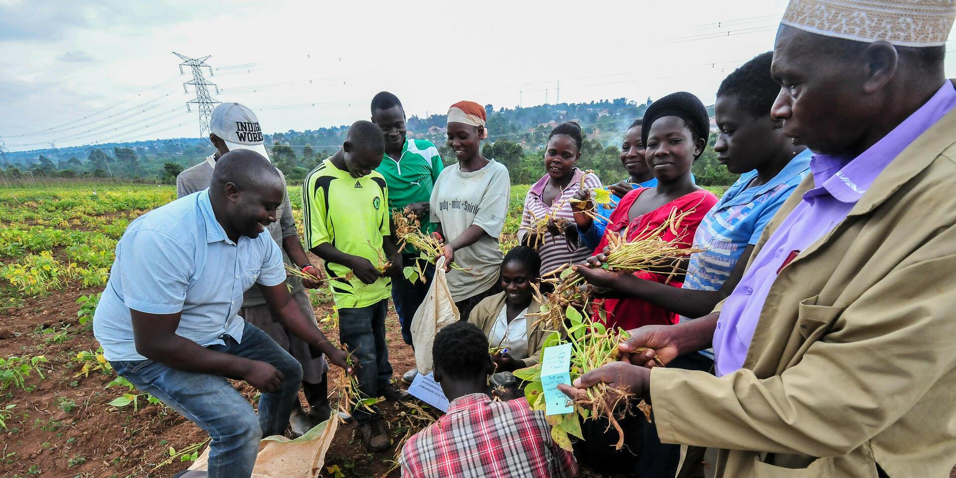 The Alliance Charities - Alliance of Bioversity International - CIAT