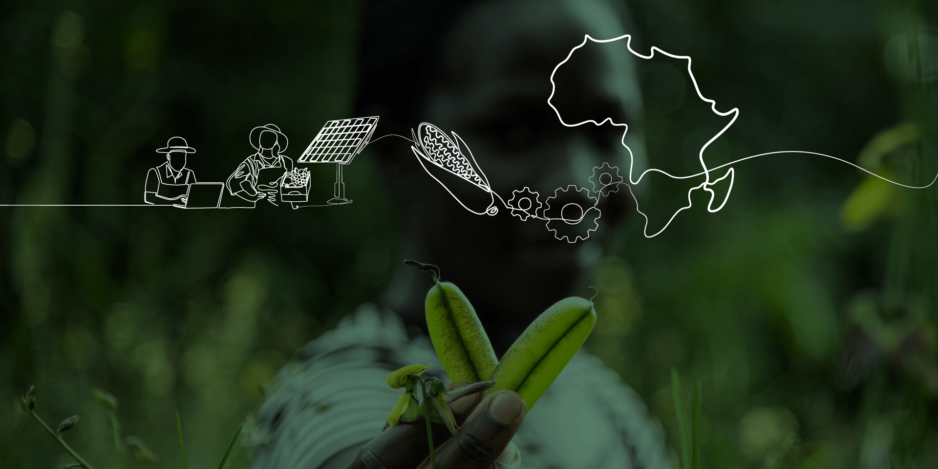 The Alliance launches its 2026&ndash;2030 Strategy in Africa at the Africa Food Systems Forum 2026 - Alliance Bioversity International - CIAT