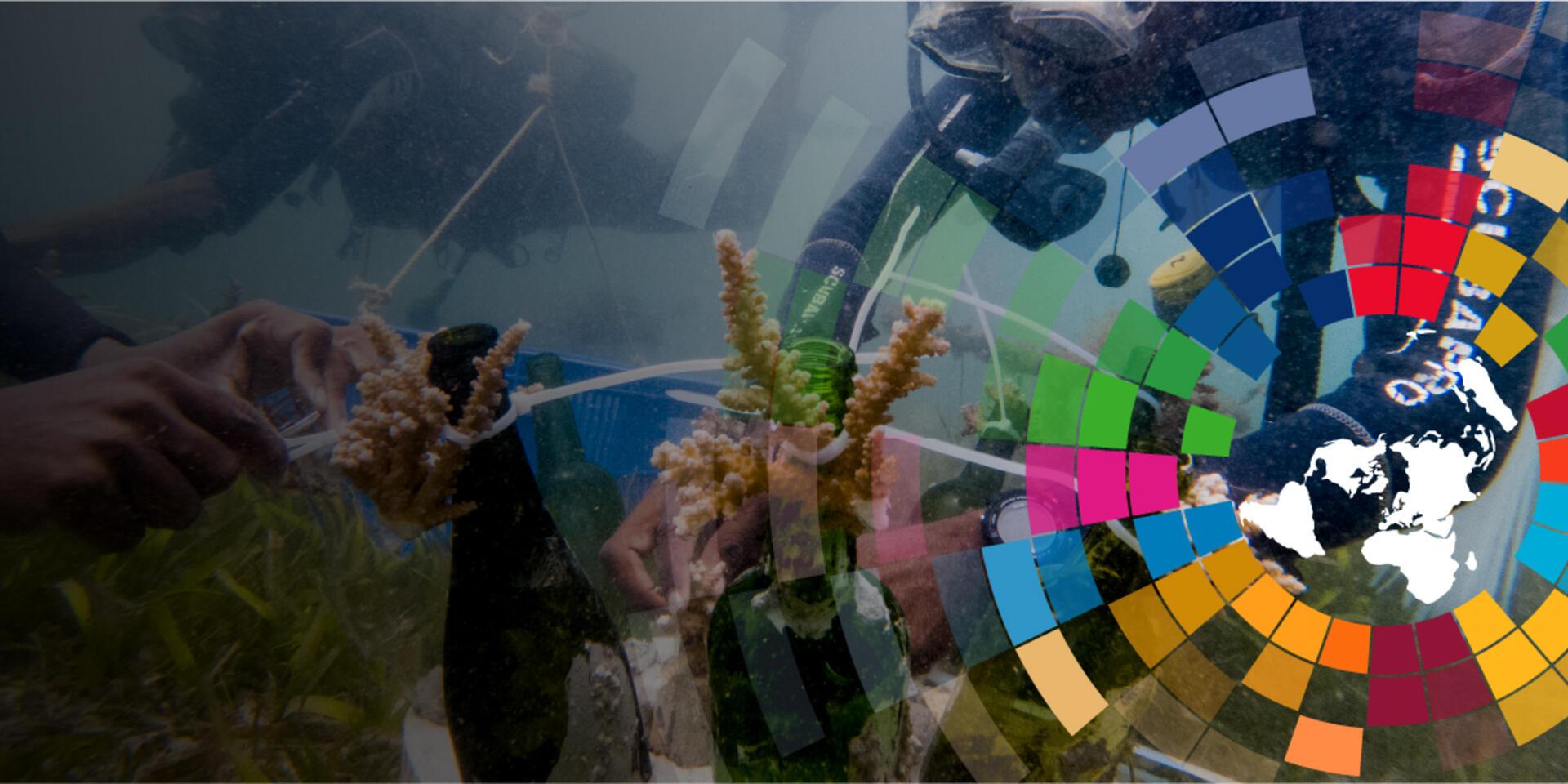 The Alliance @ UNEA-6  - Alliance Bioversity International - CIAT