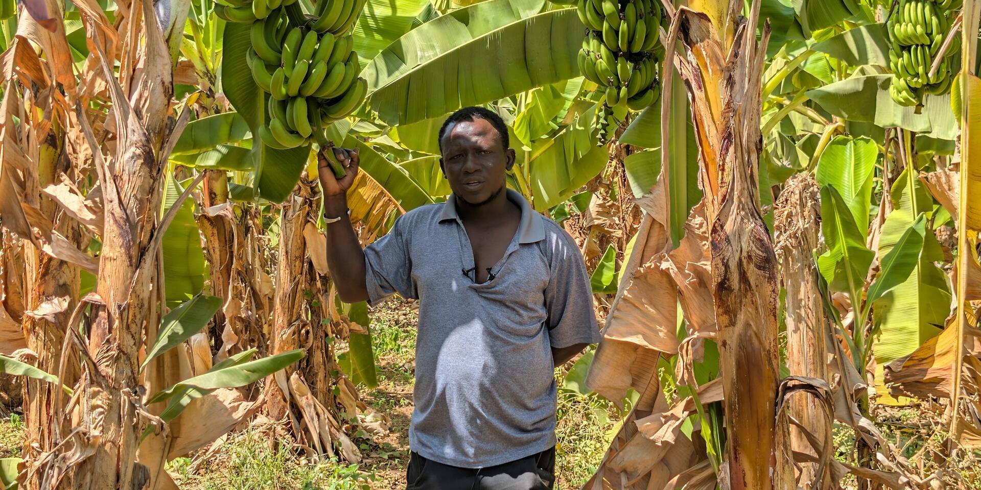 He wanted to leave, he chose the land: The courageous choice of Tahirou Diallo