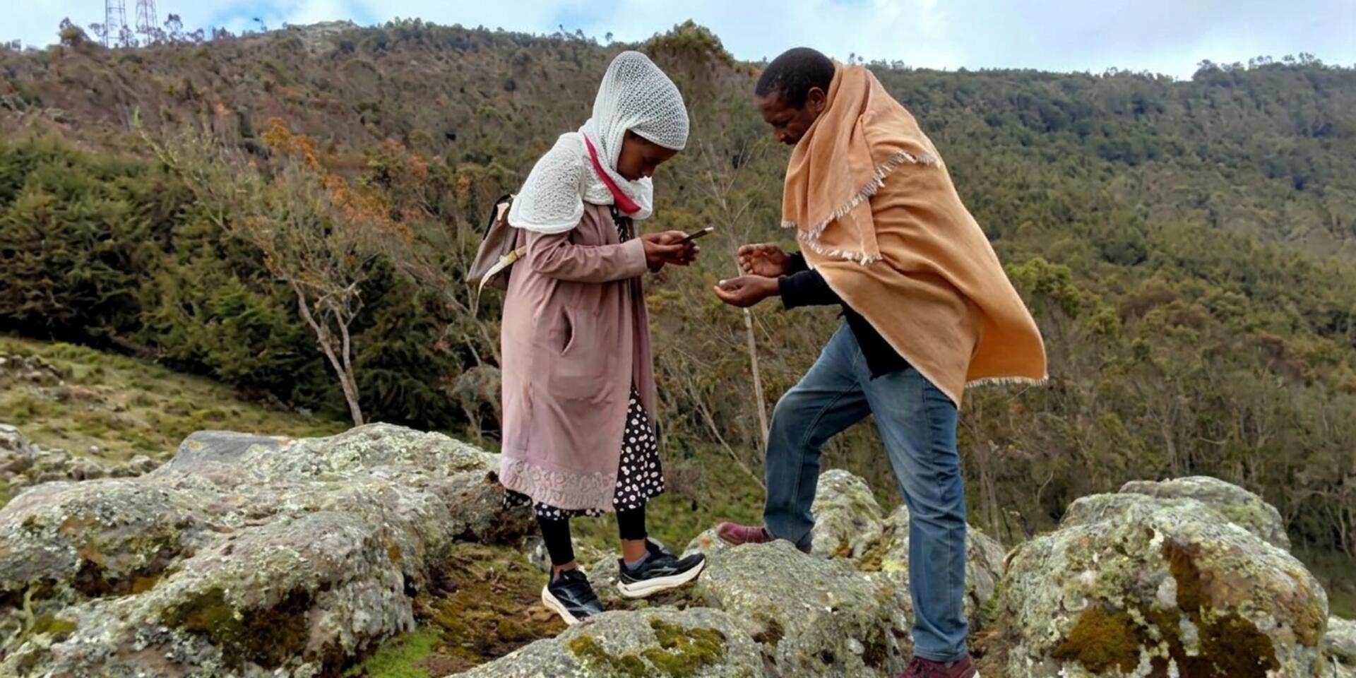 The Tosign (Thymus)-Tree Trade-Off: Eucalyptus and Cupressus tree plantations threaten the ecological and economic value of Thymus schimperi in the Ethiopian Highlands 