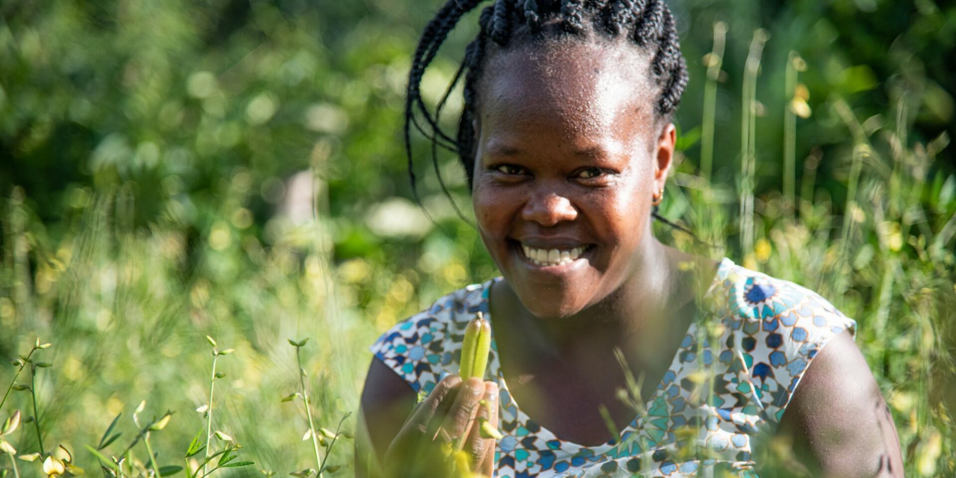 THRIVE East Africa - Alliance Bioversity International - CIAT