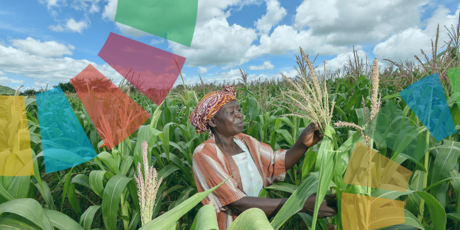 Towards Agenda 2030 Delivering Progress towards the Global Sustainable Development Goals - Alliance Bioversity International - CIAT
