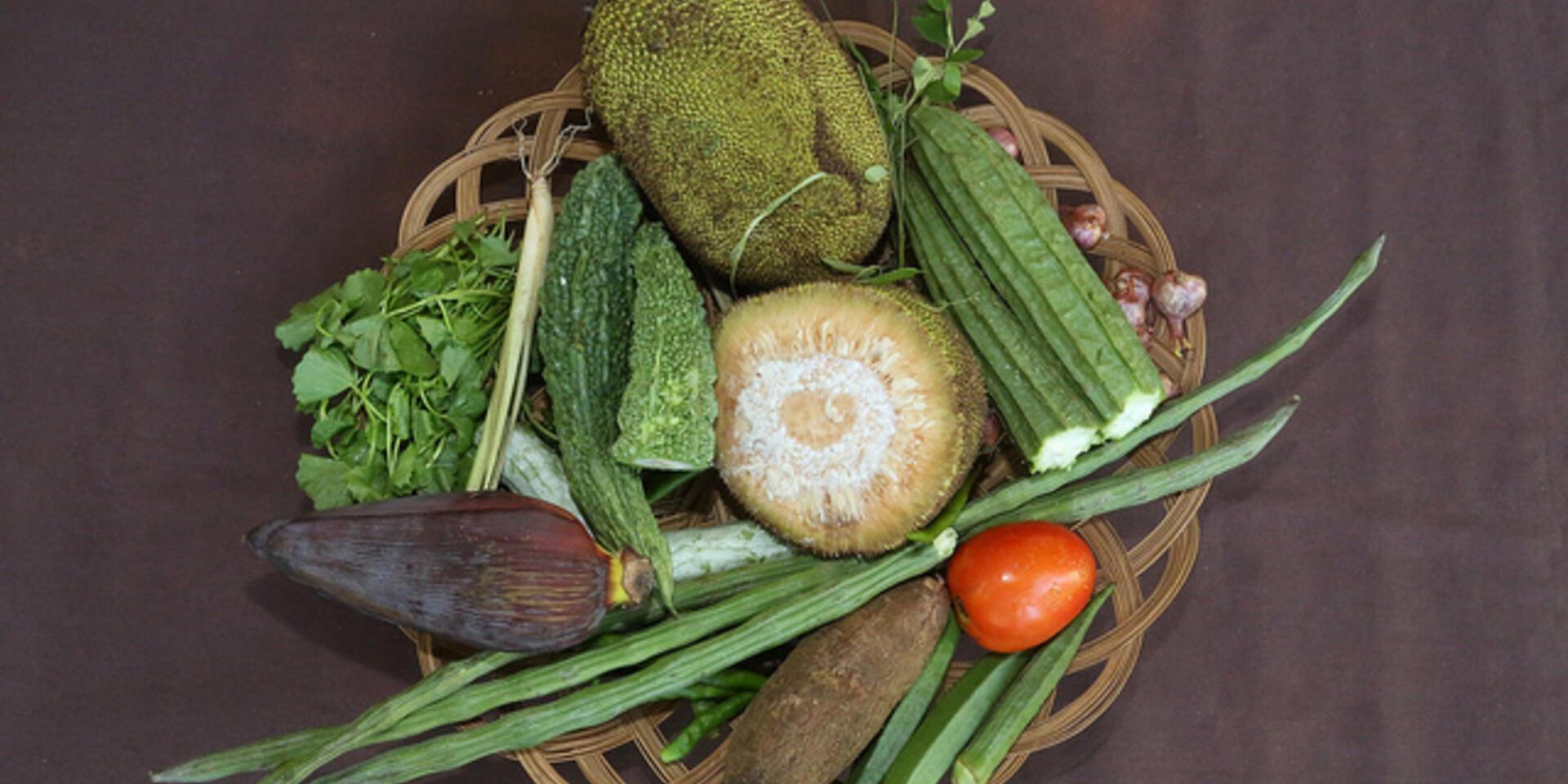 Crop diversity: the debate that truly matters for food security and sustainability