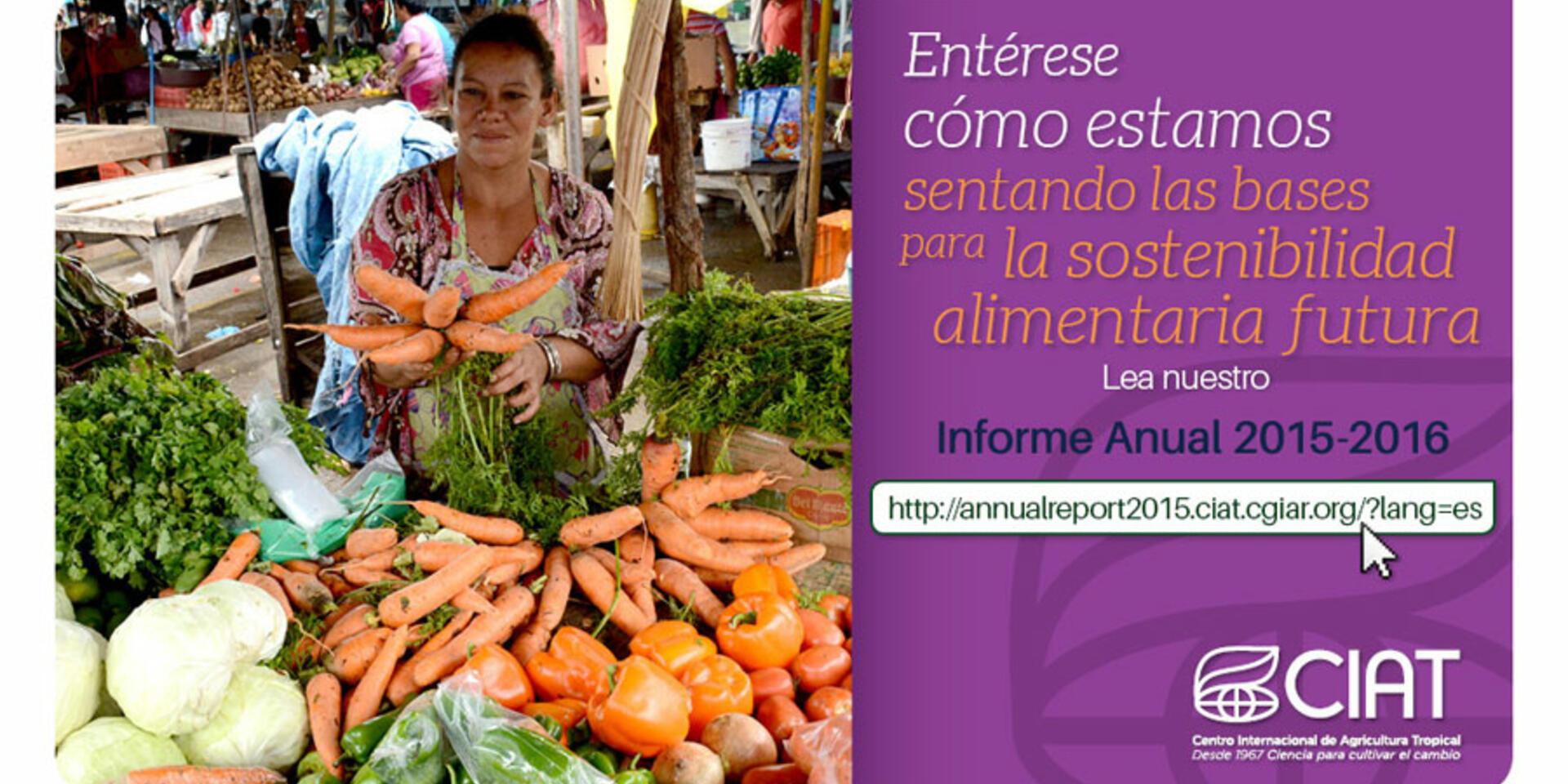 El Informe Anual CIAT 2015&ndash;2016 ya est&aacute; disponible en espa&ntilde;ol