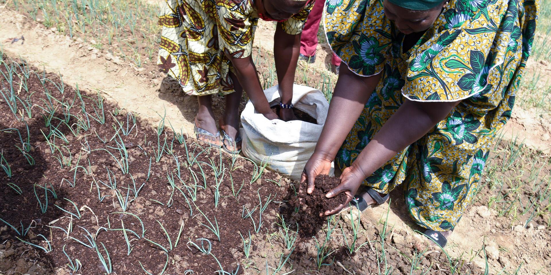 Types of soil the complete guide to every soil type