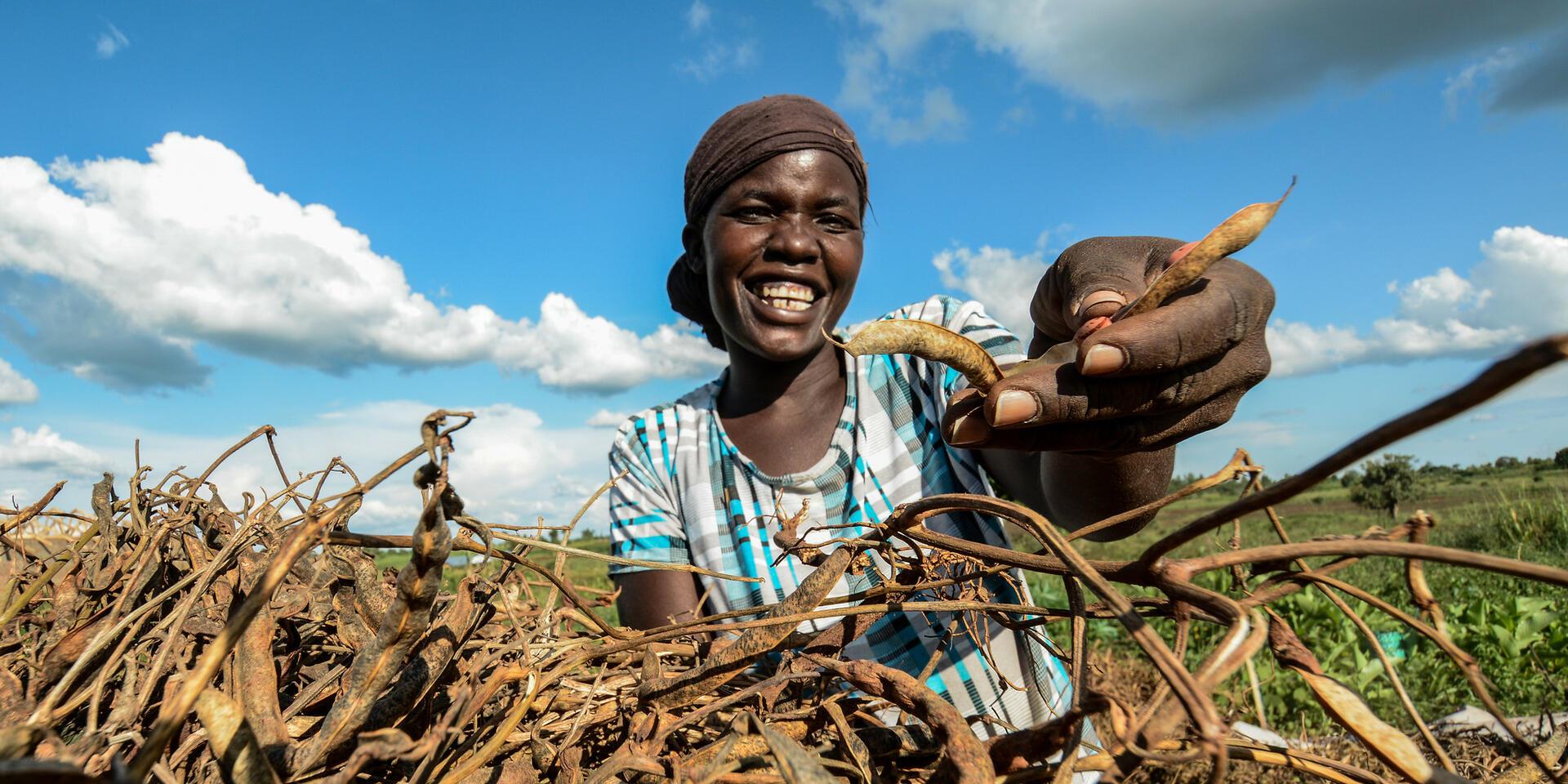 Uganda - Alliance of Bioversity International - CIAT