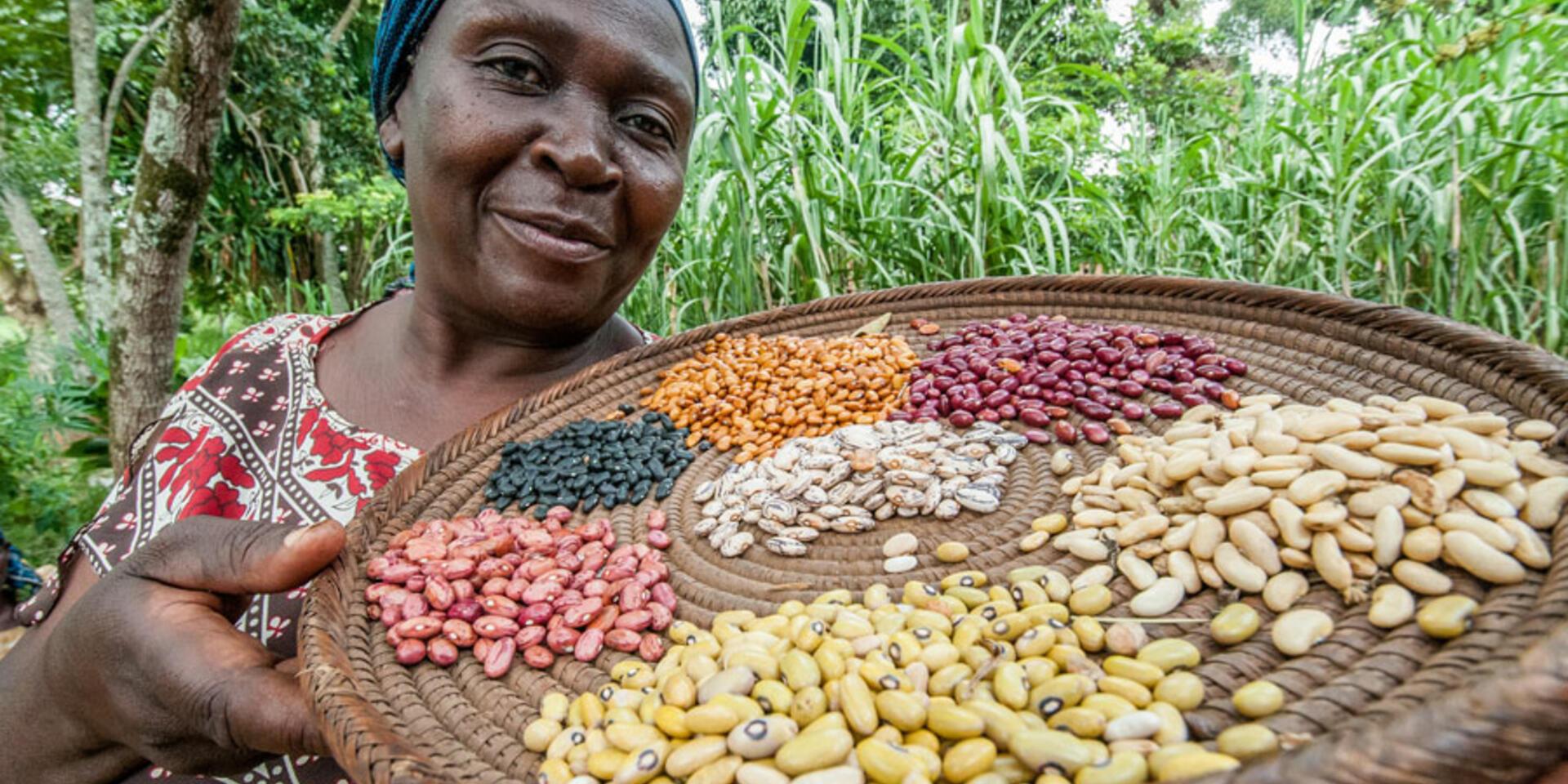 Uganda&rsquo;s rural women find beans to beat climate