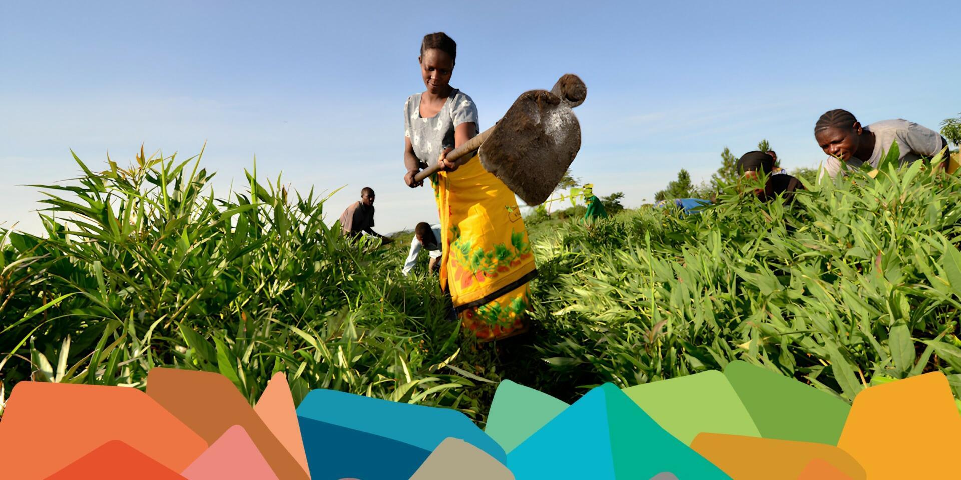 UNCBD COP17 - Alliance Bioversity International - CIAT