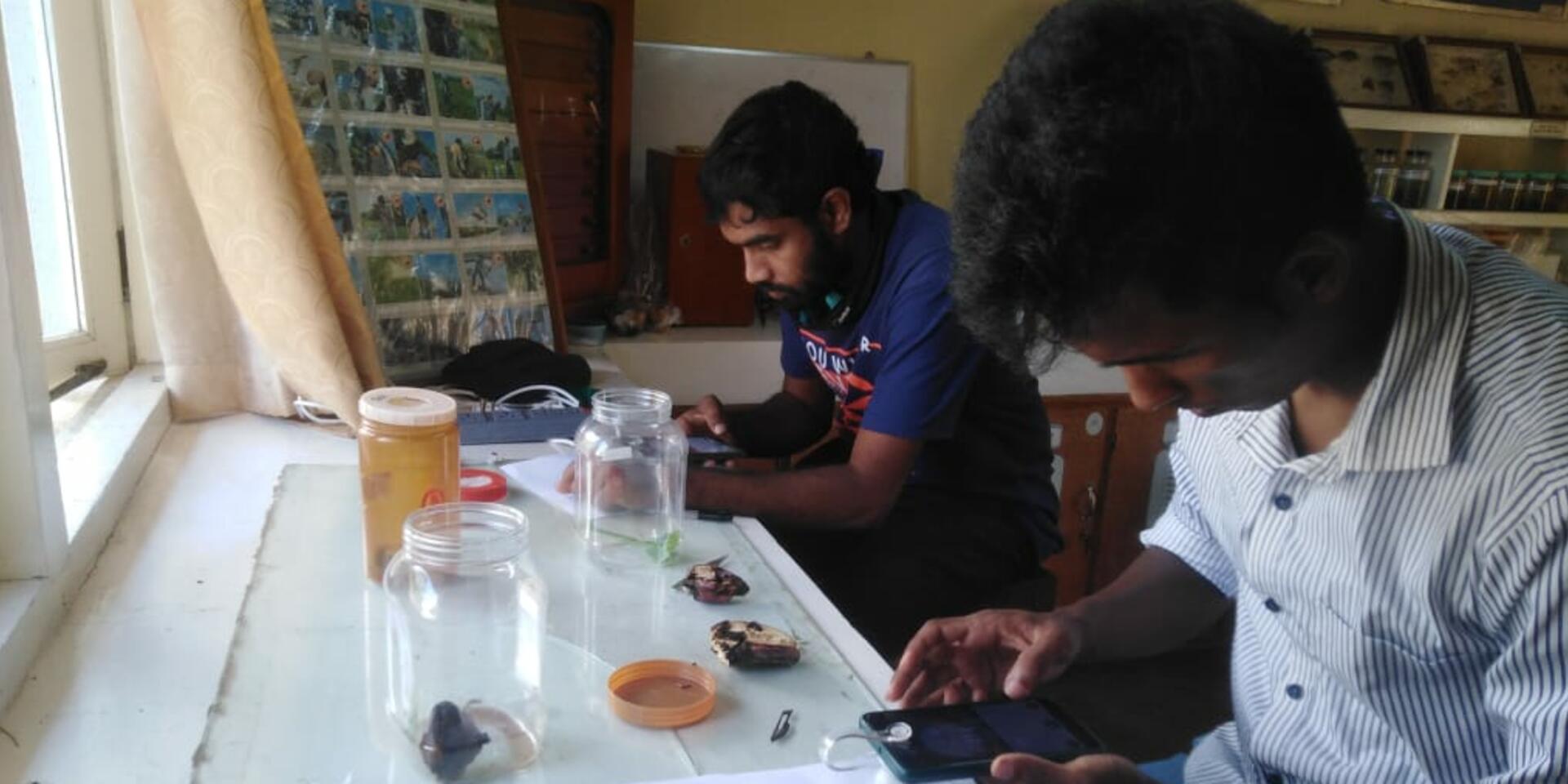 University students test the GoMicro app accuracy